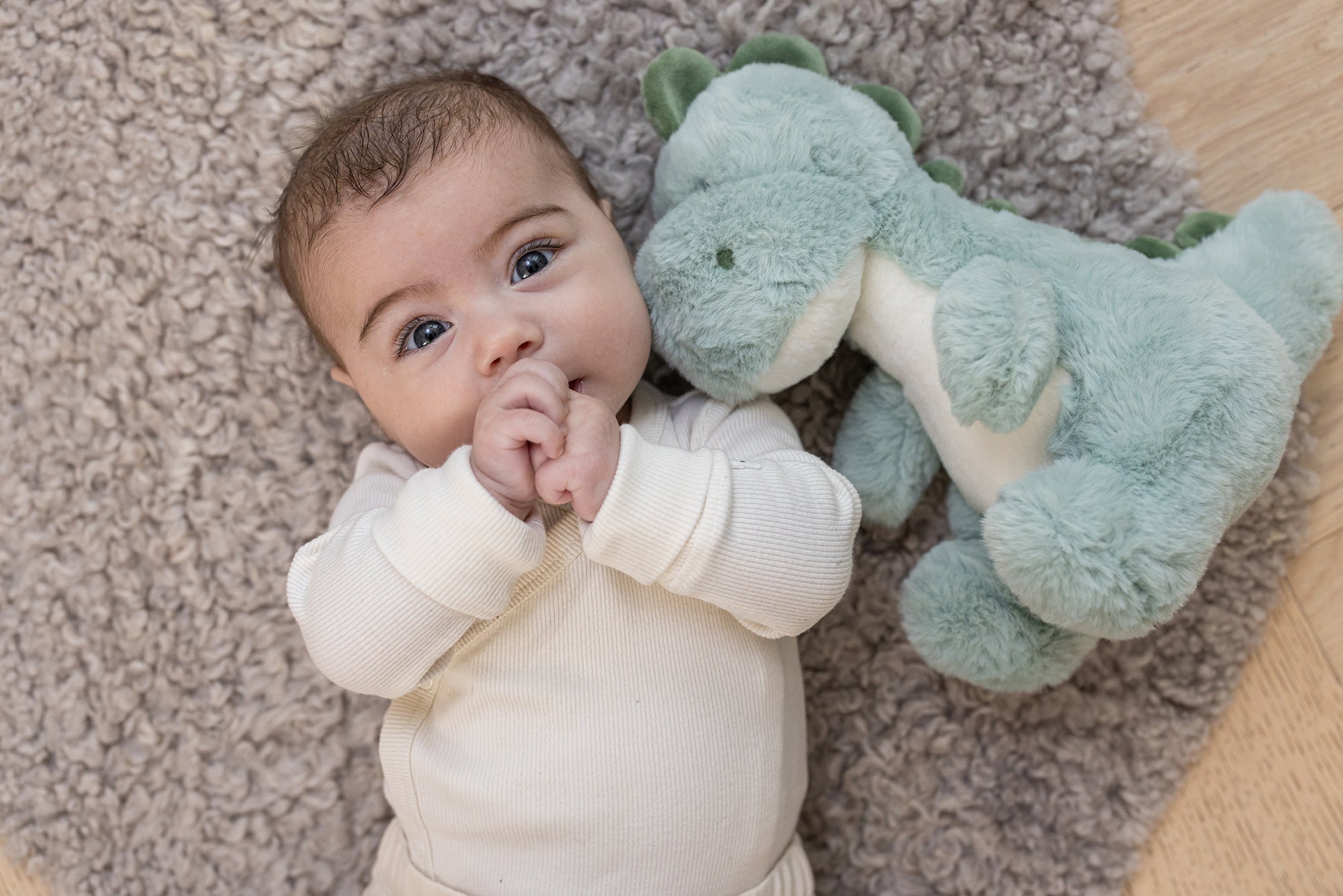 Image of files/4219_DinoBabyGirl_LOW.jpg