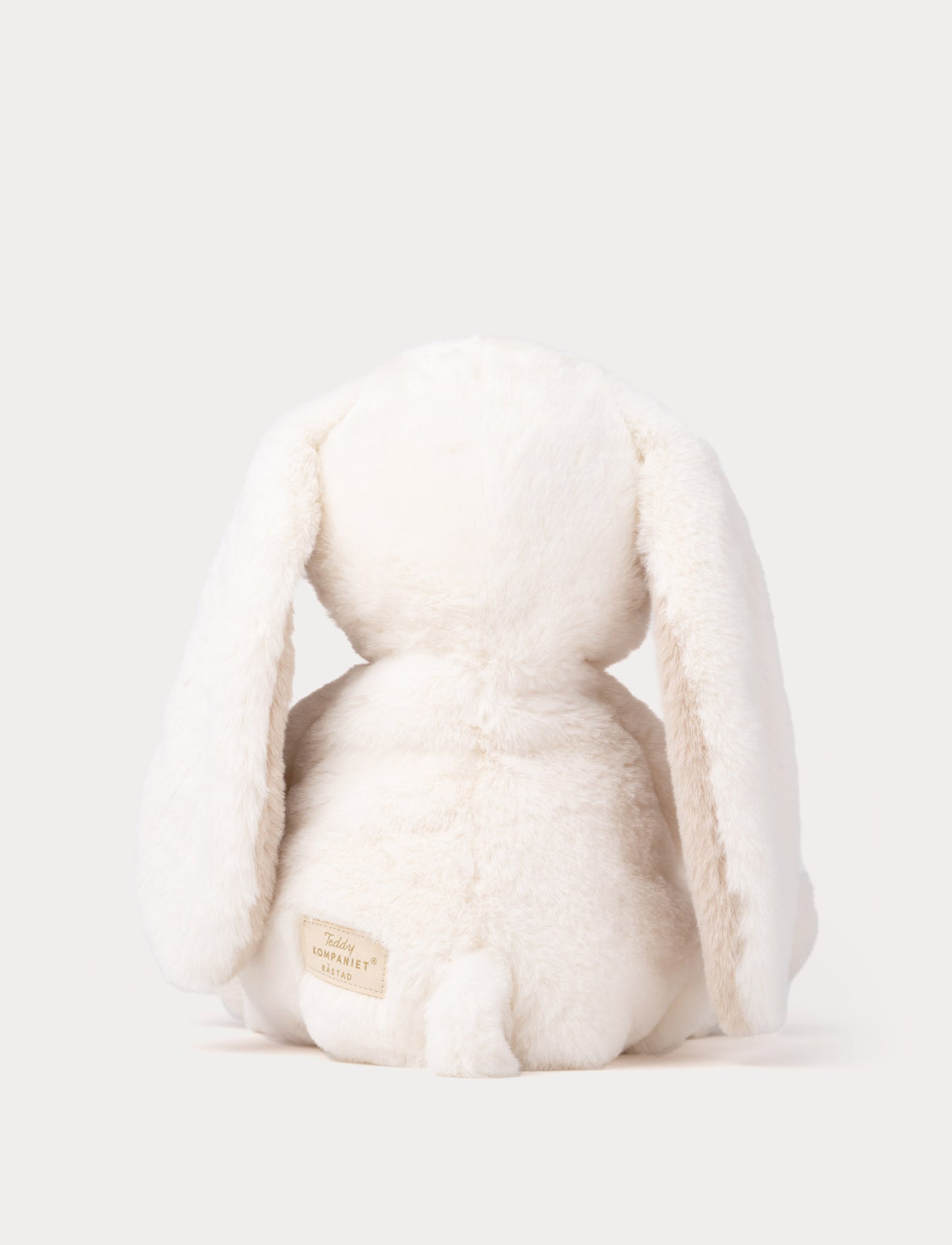 Teddy Mocca, Kanin, Stor