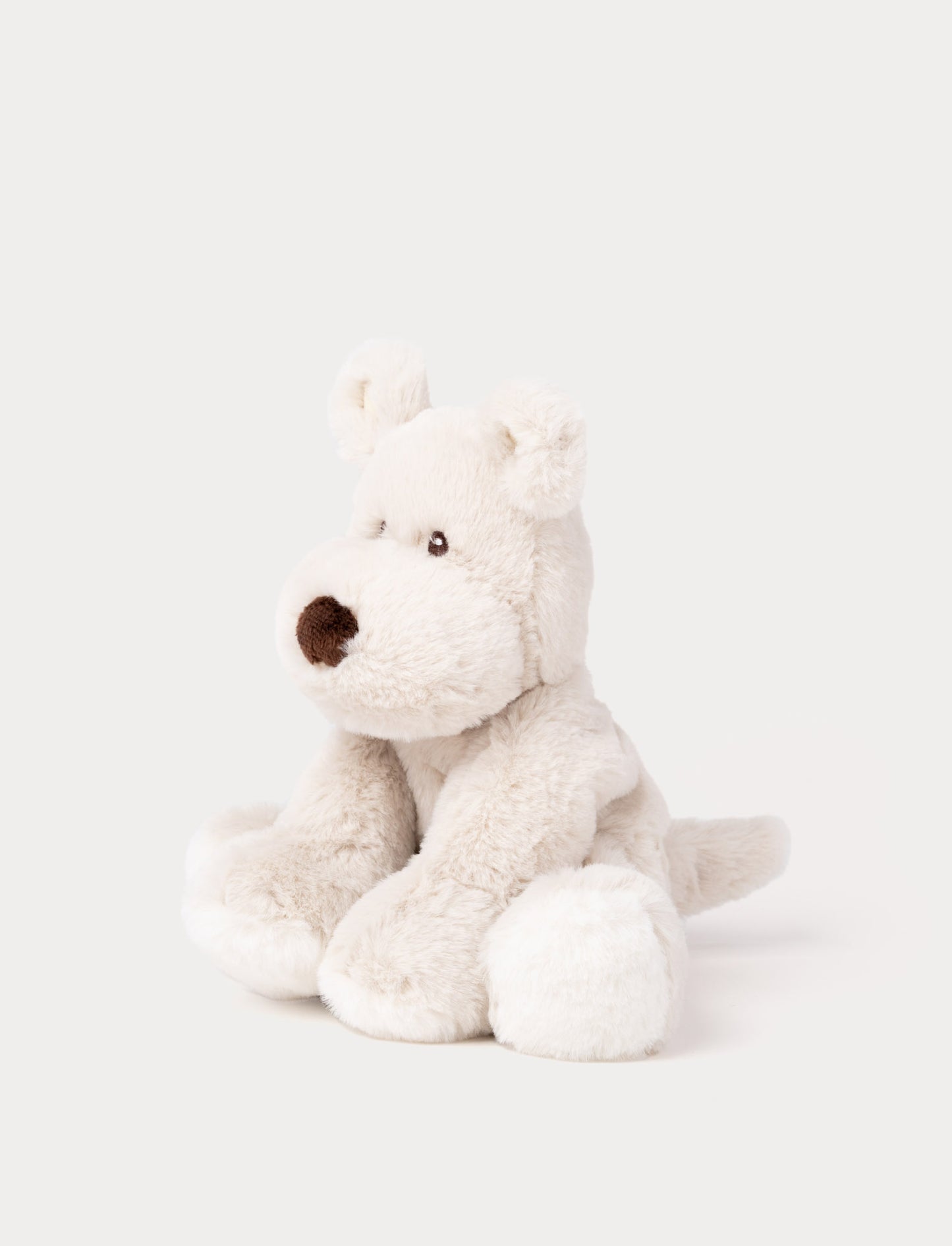 Teddy Mocca, Dog, Small