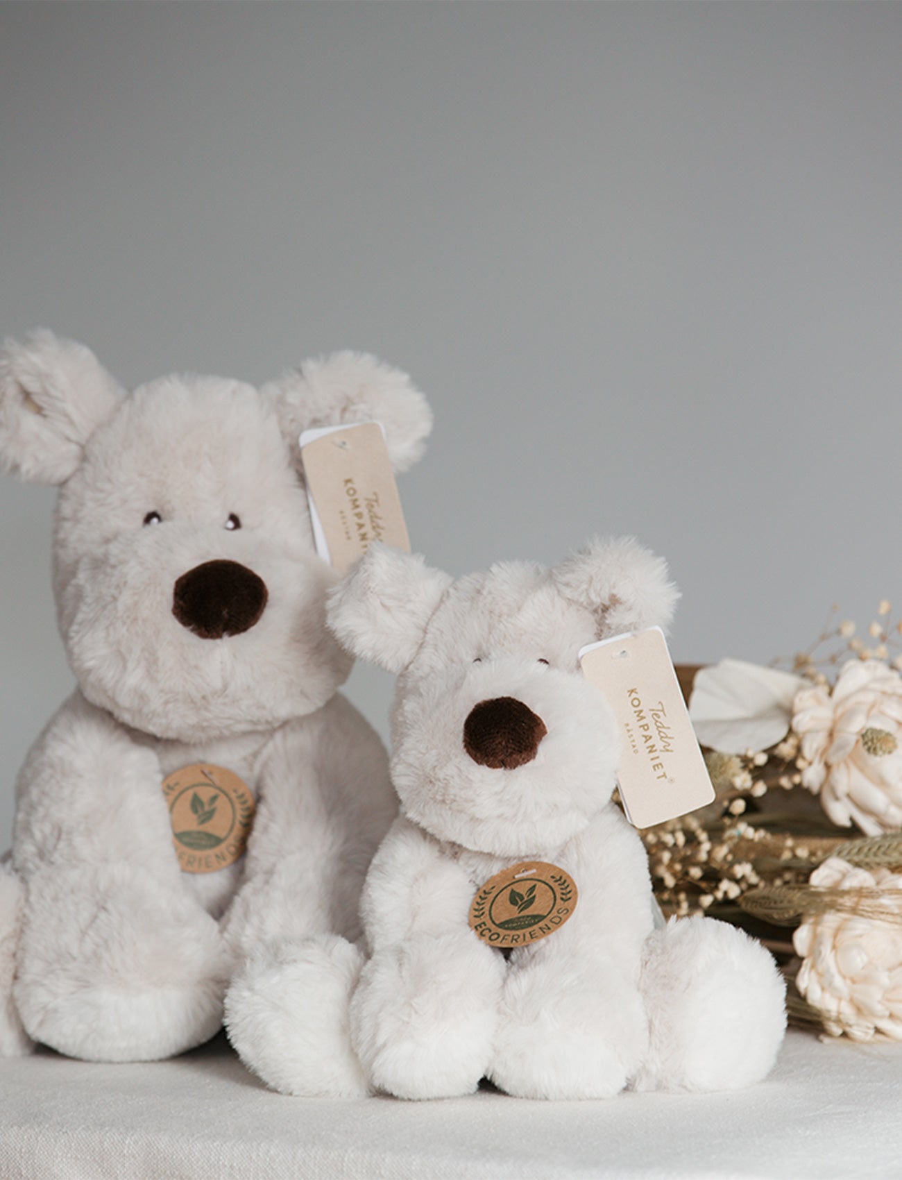 Teddy Mocca, Dog, Small