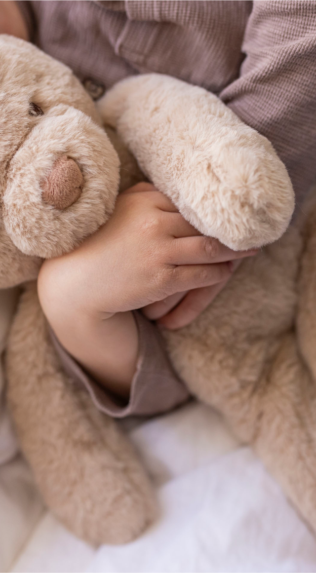 Image of files/4248_TeddyCareSvenSleep_HIGH.png