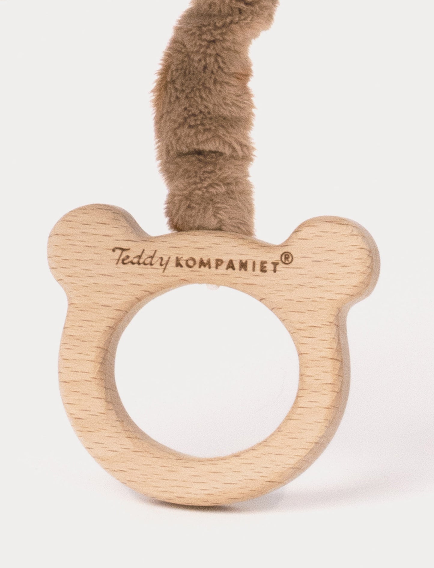 Teddy, Music Box, Teddy Bear