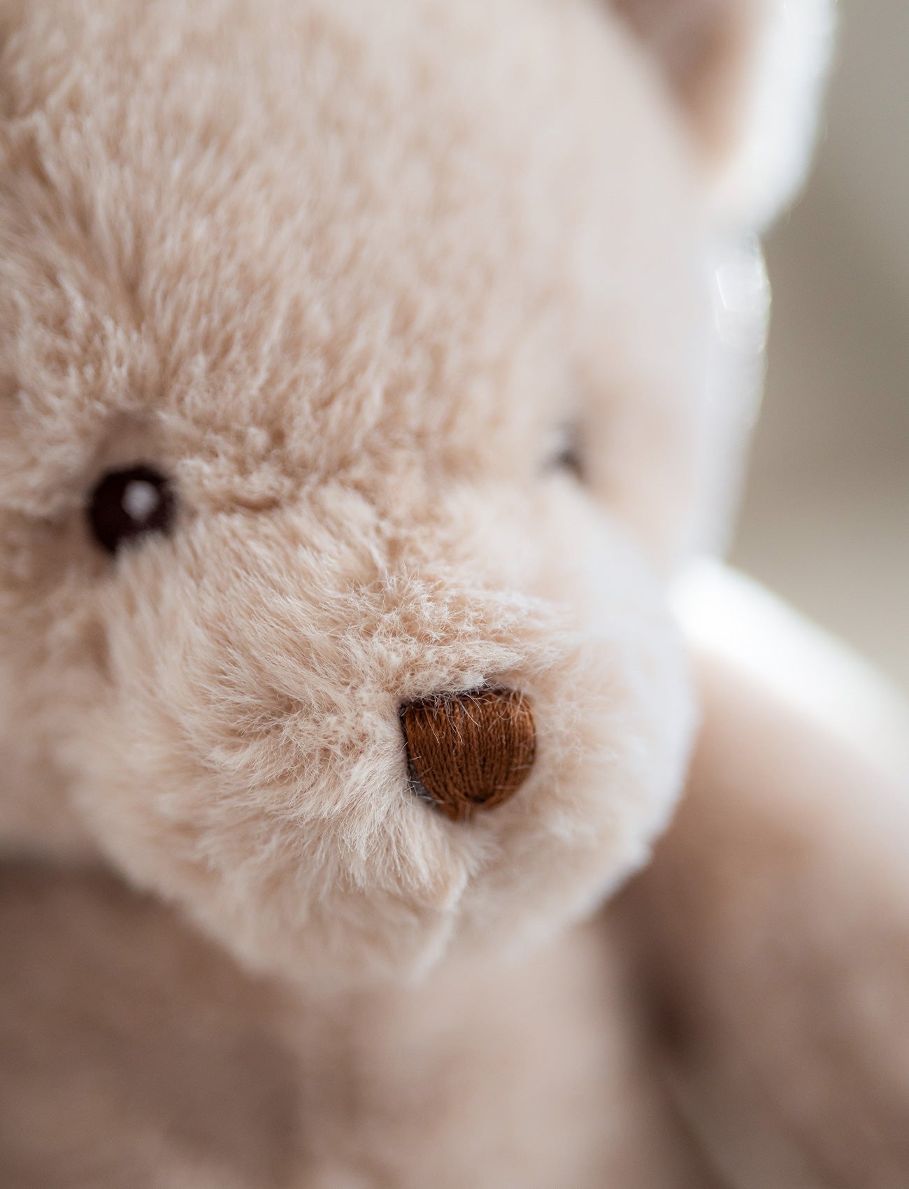 Teddy, Music Box, Teddy Bear