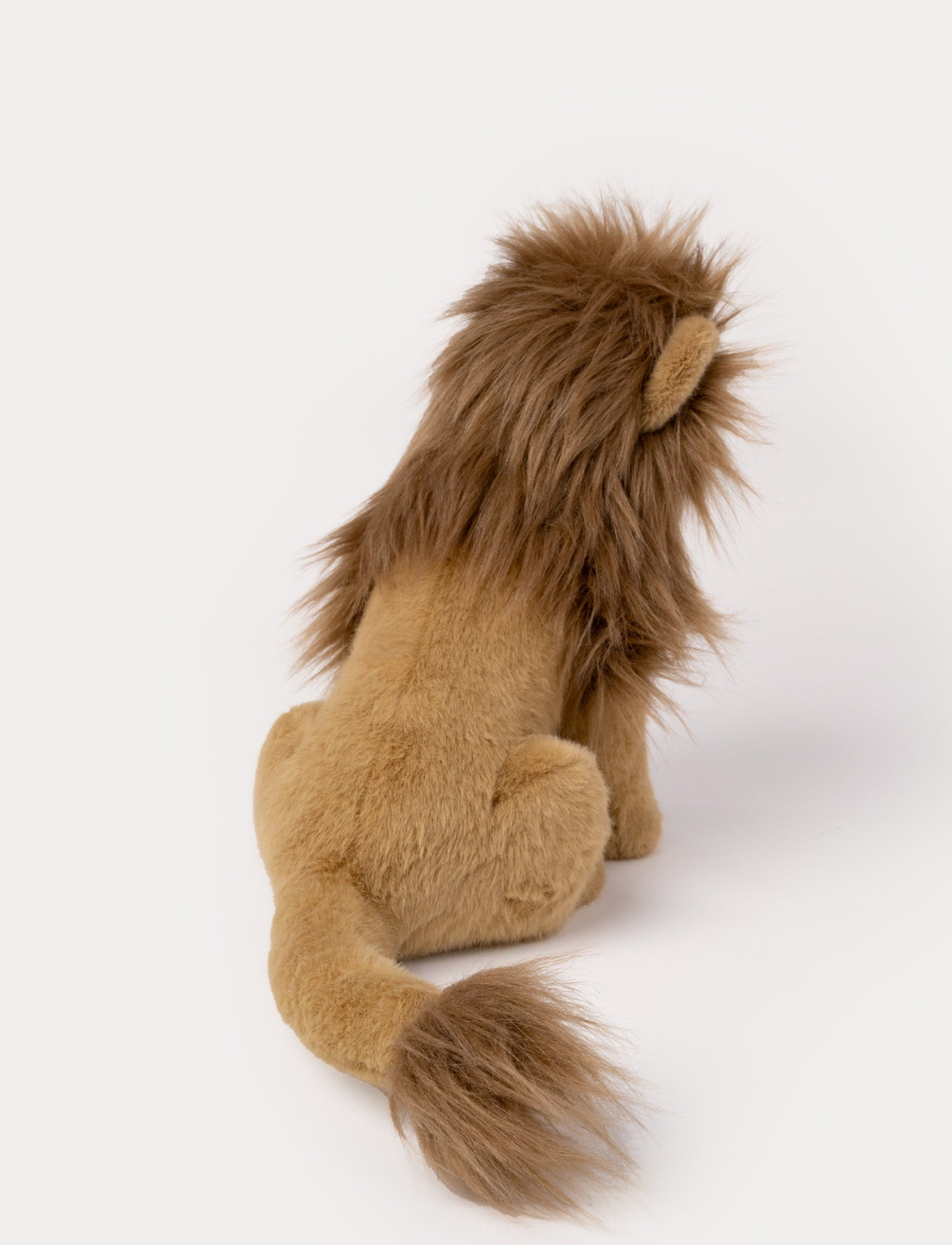 Image of Todentuntuinen leijona