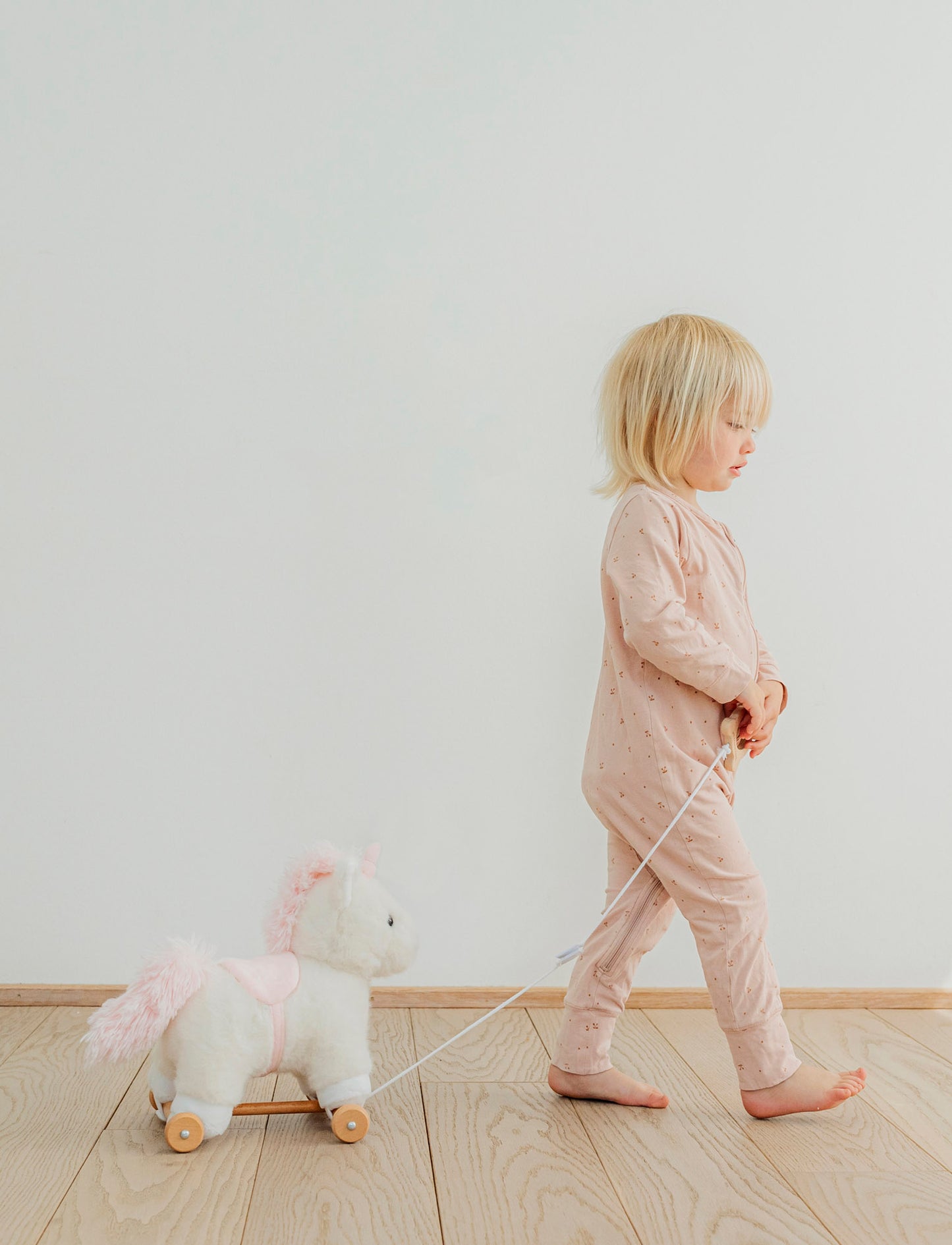 Dragdjur, Enhörning