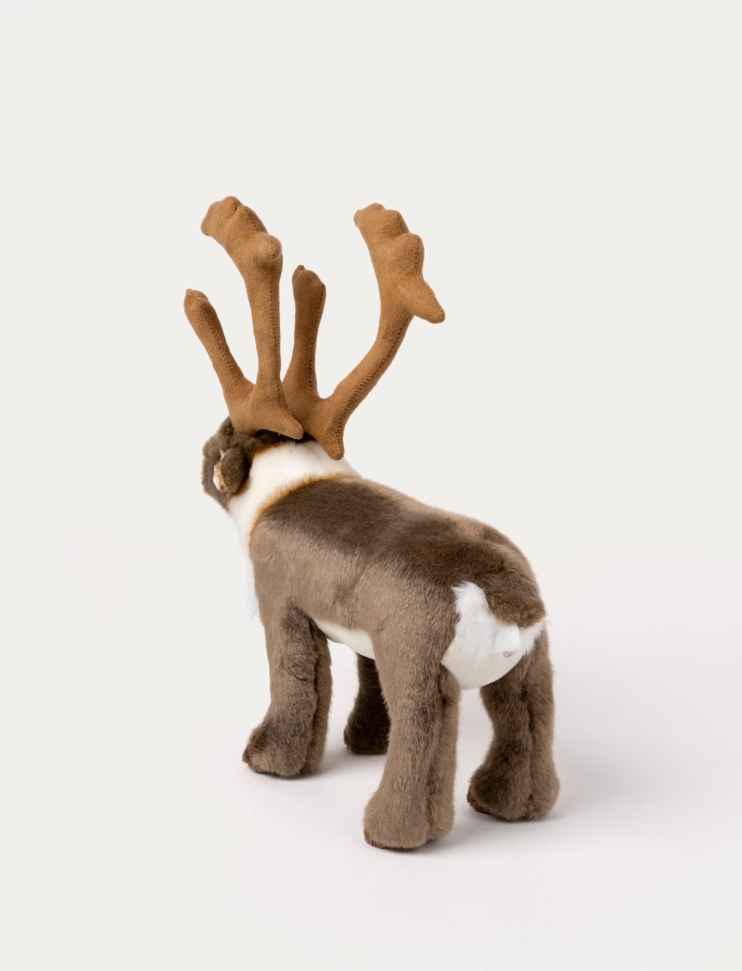 Image of Reindeer, Big
