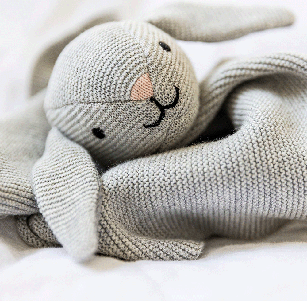 Image of files/RabbitD.png