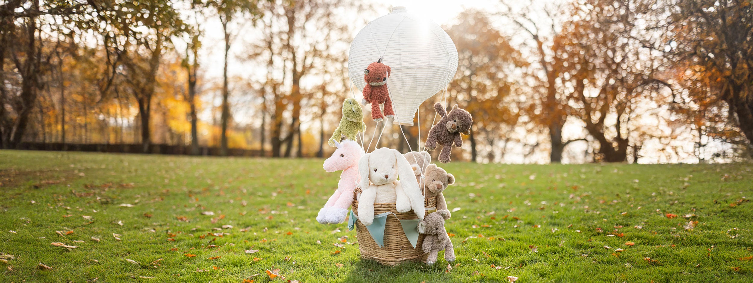 Image of files/Wide-new.jpg