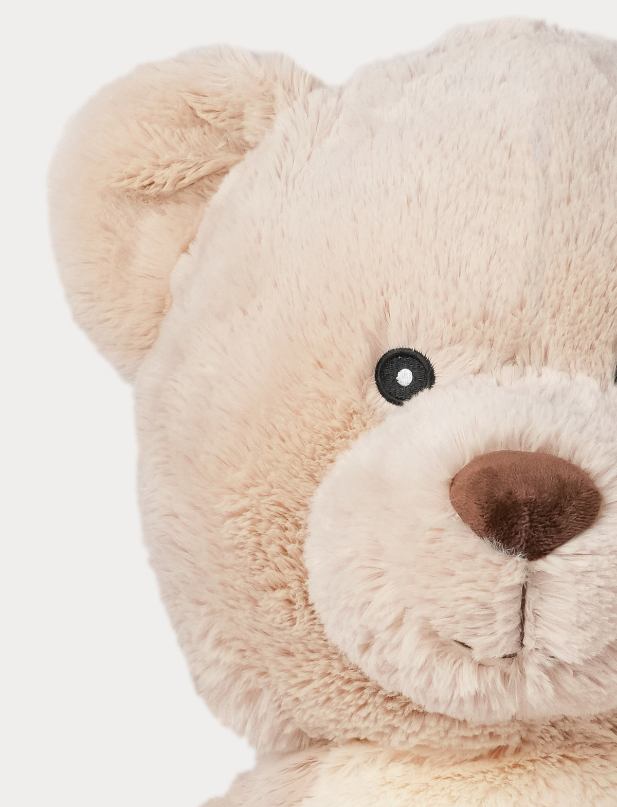  Image of Viggo, Teddy Bear, Big
