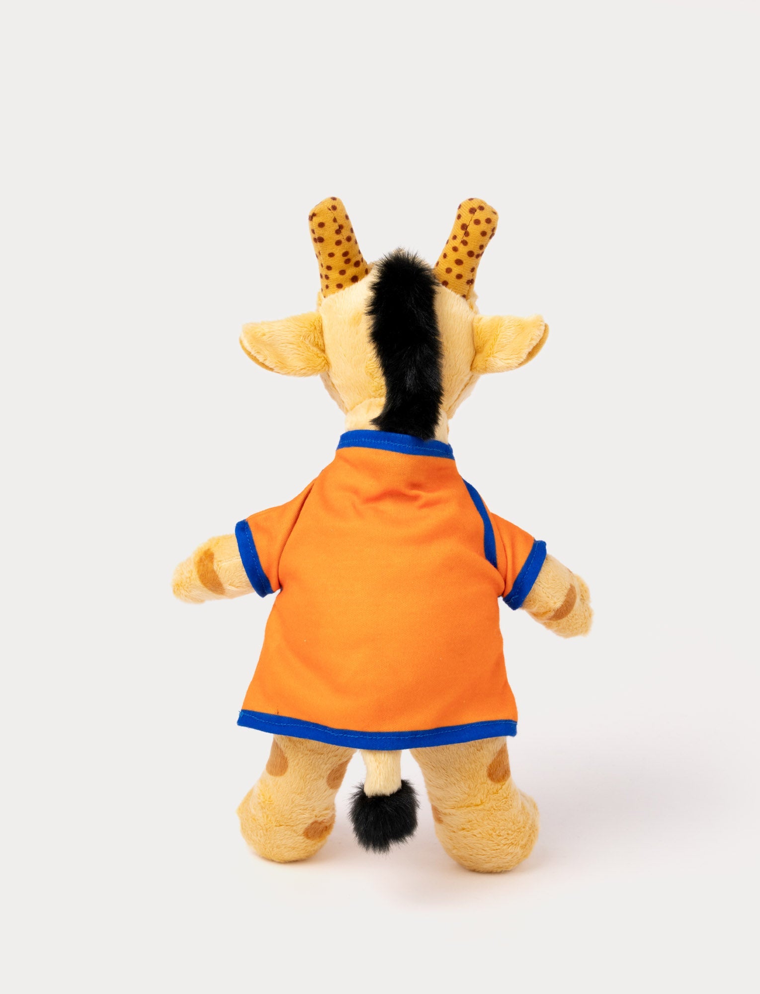  Image of Lollo & Bernie, Lollo