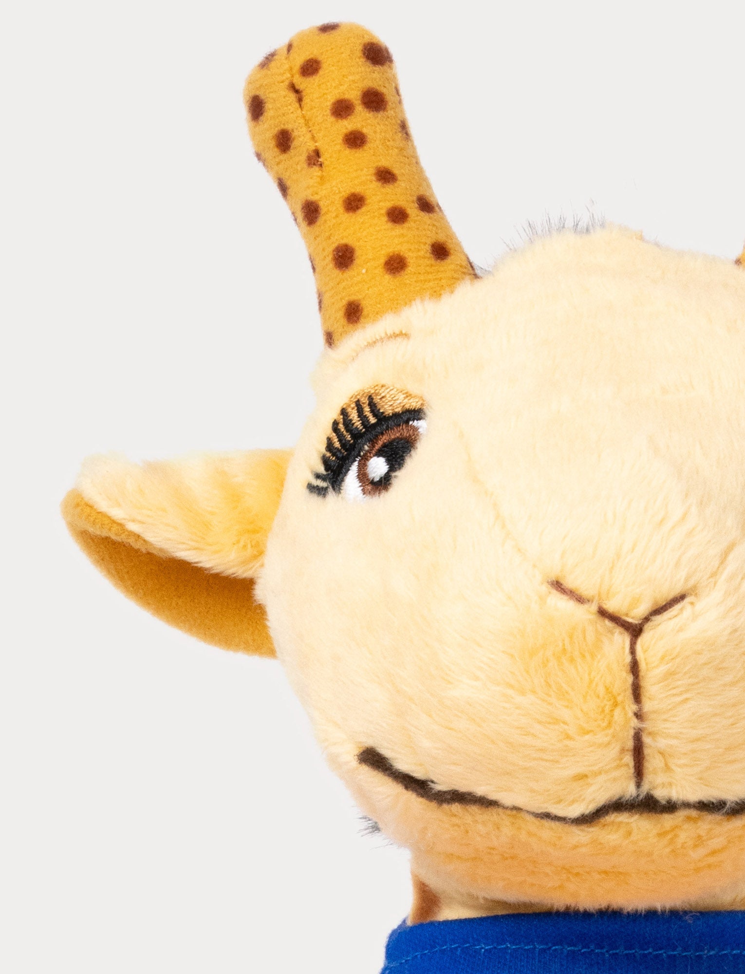  Image of Lollo & Bernie, Lollo