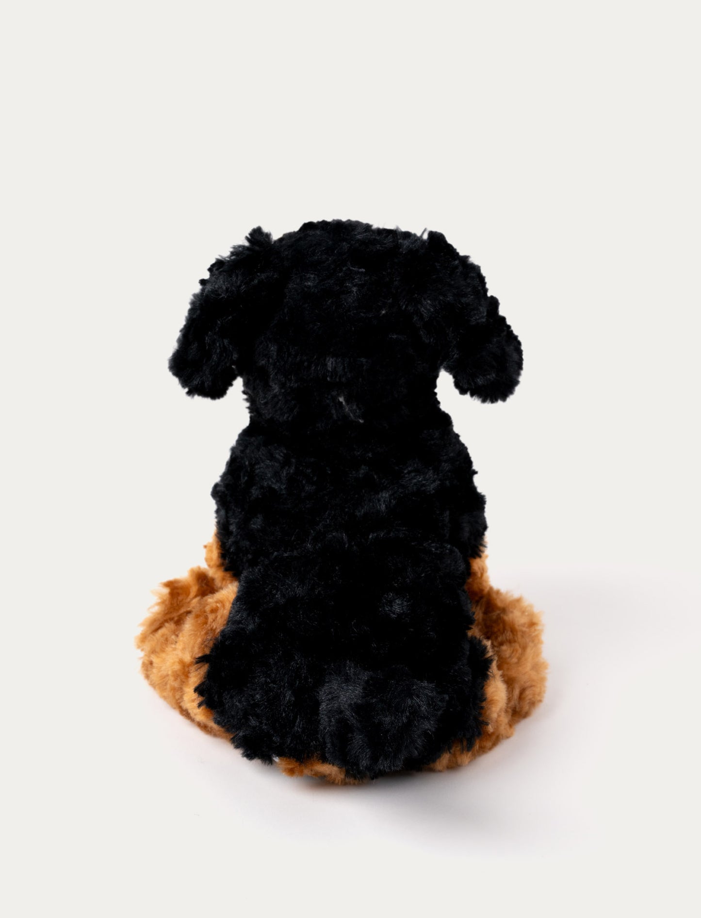 Teddy Dogs, Hund