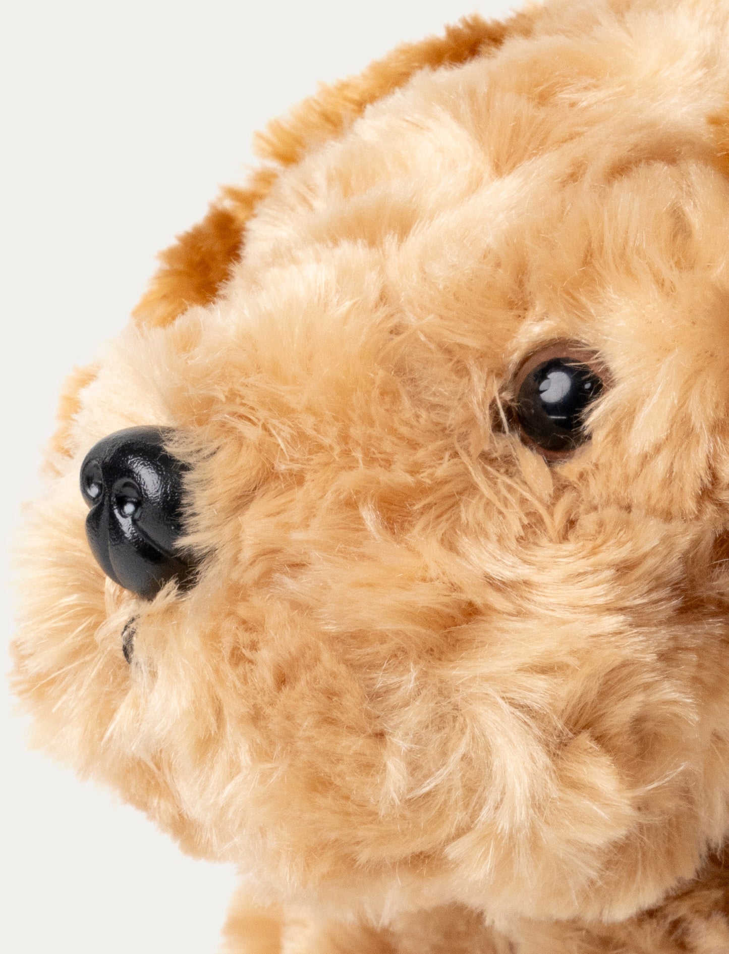 Teddy Dogs, Dog
