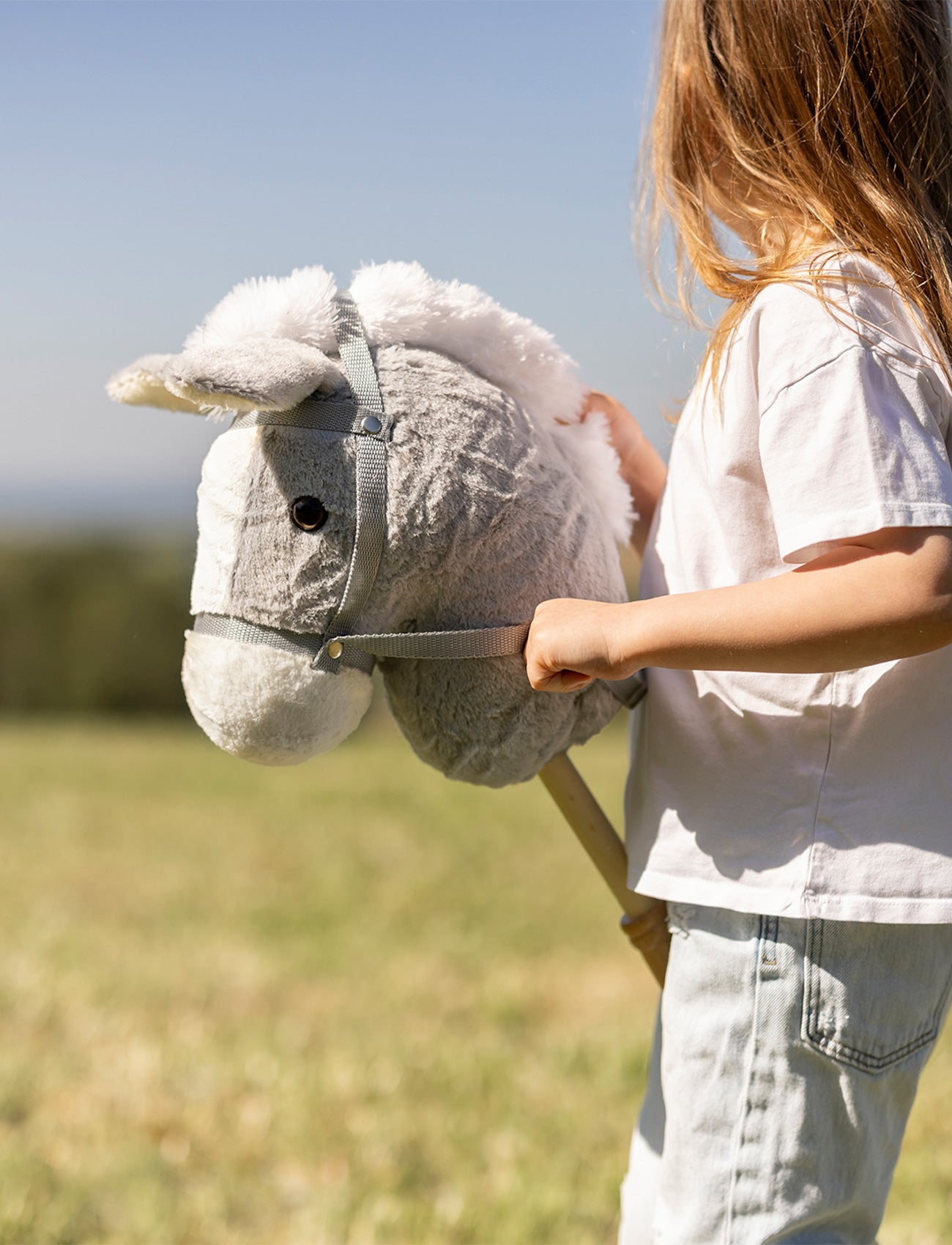 Hobby Horse, Detachable