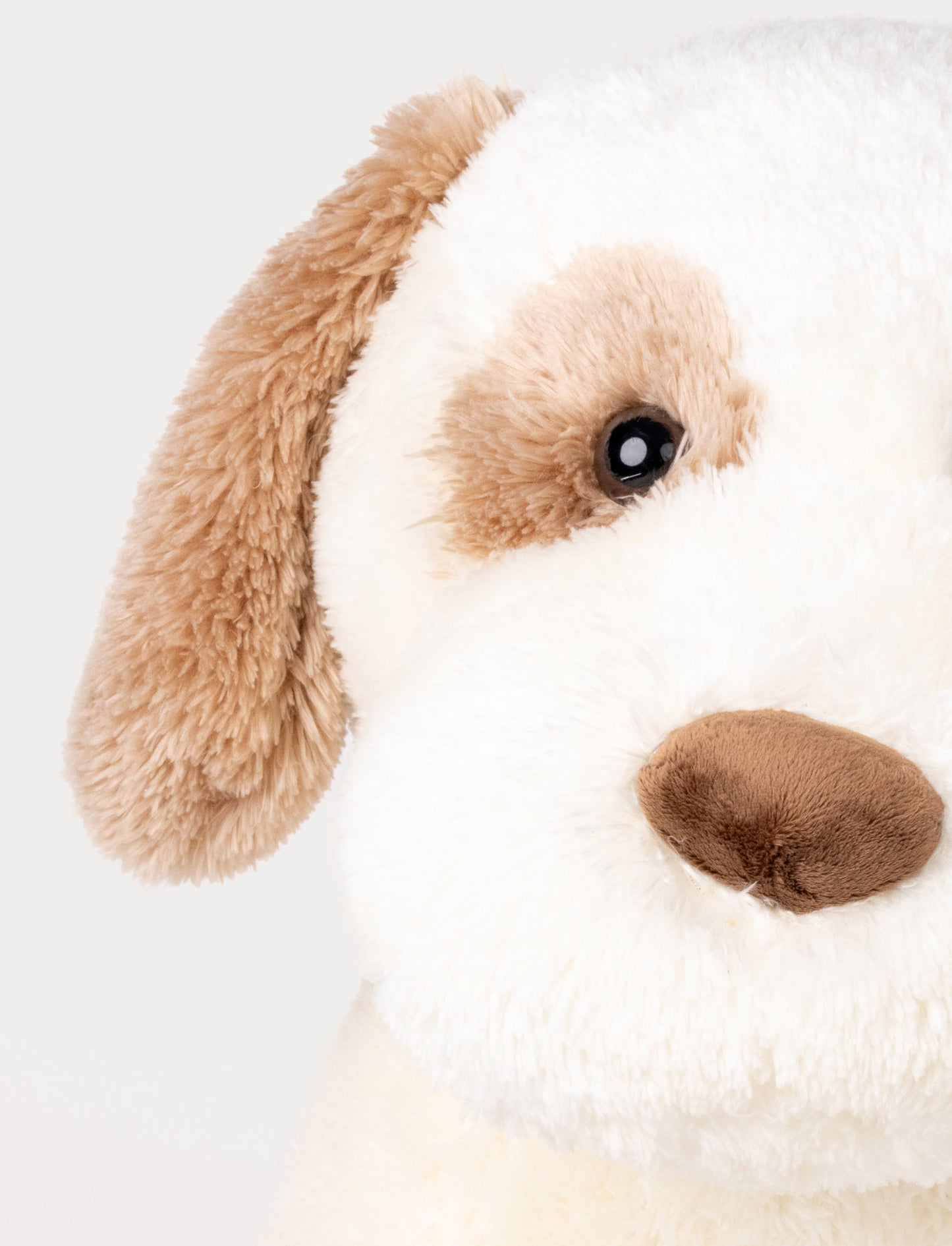 Selma, Dog, XL