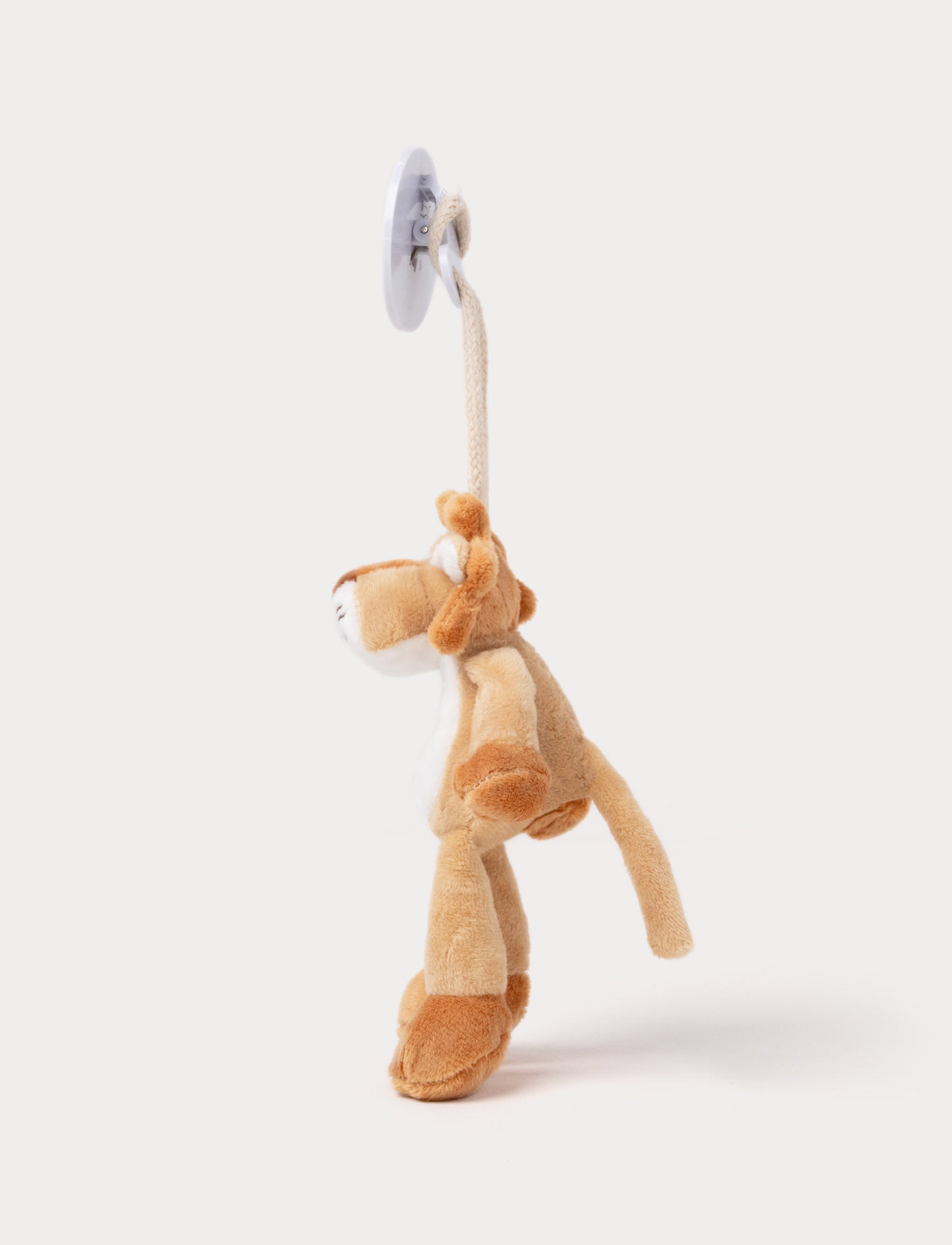  Image of Diinglisar, Clip, Lion