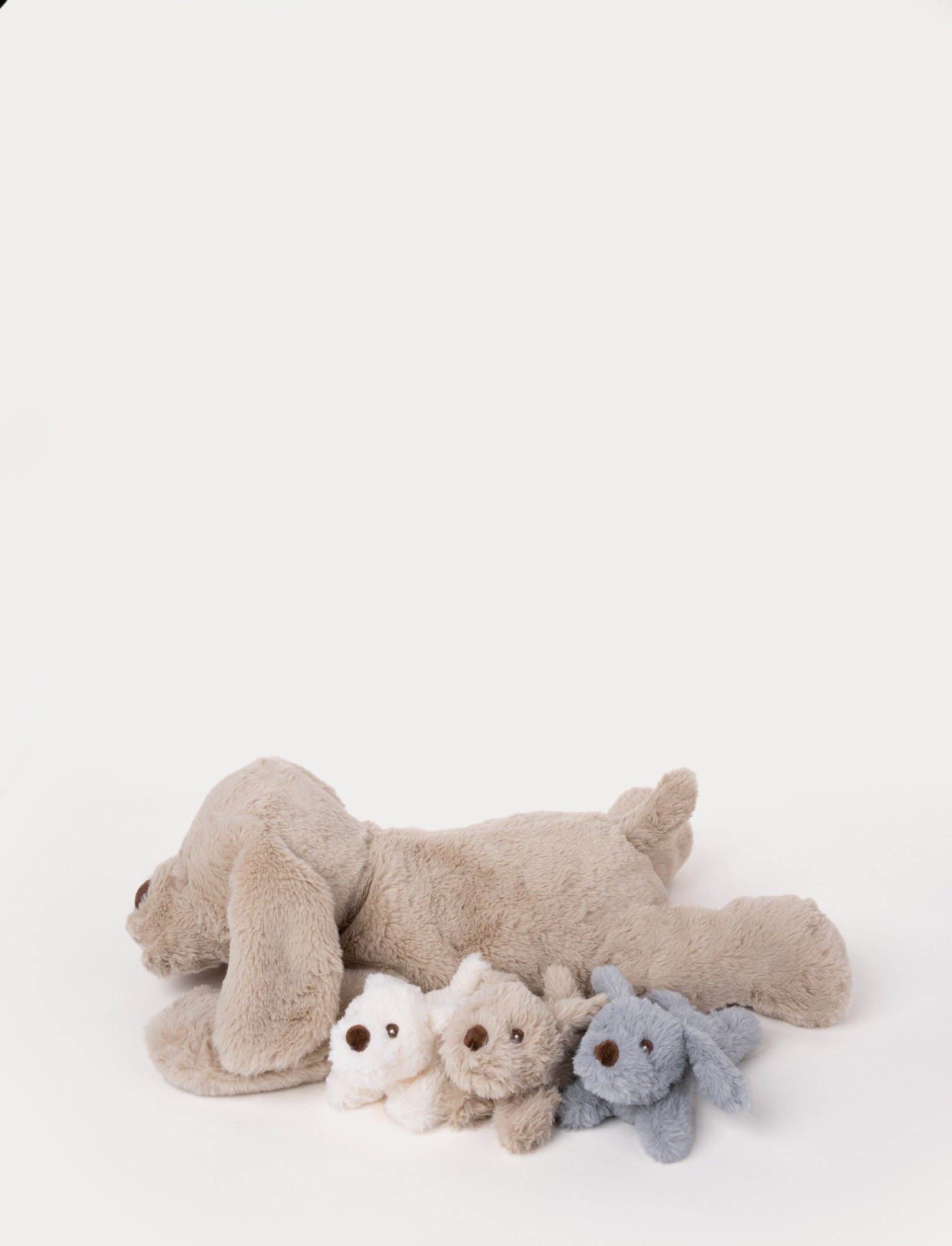  Image of Dog with Puppies