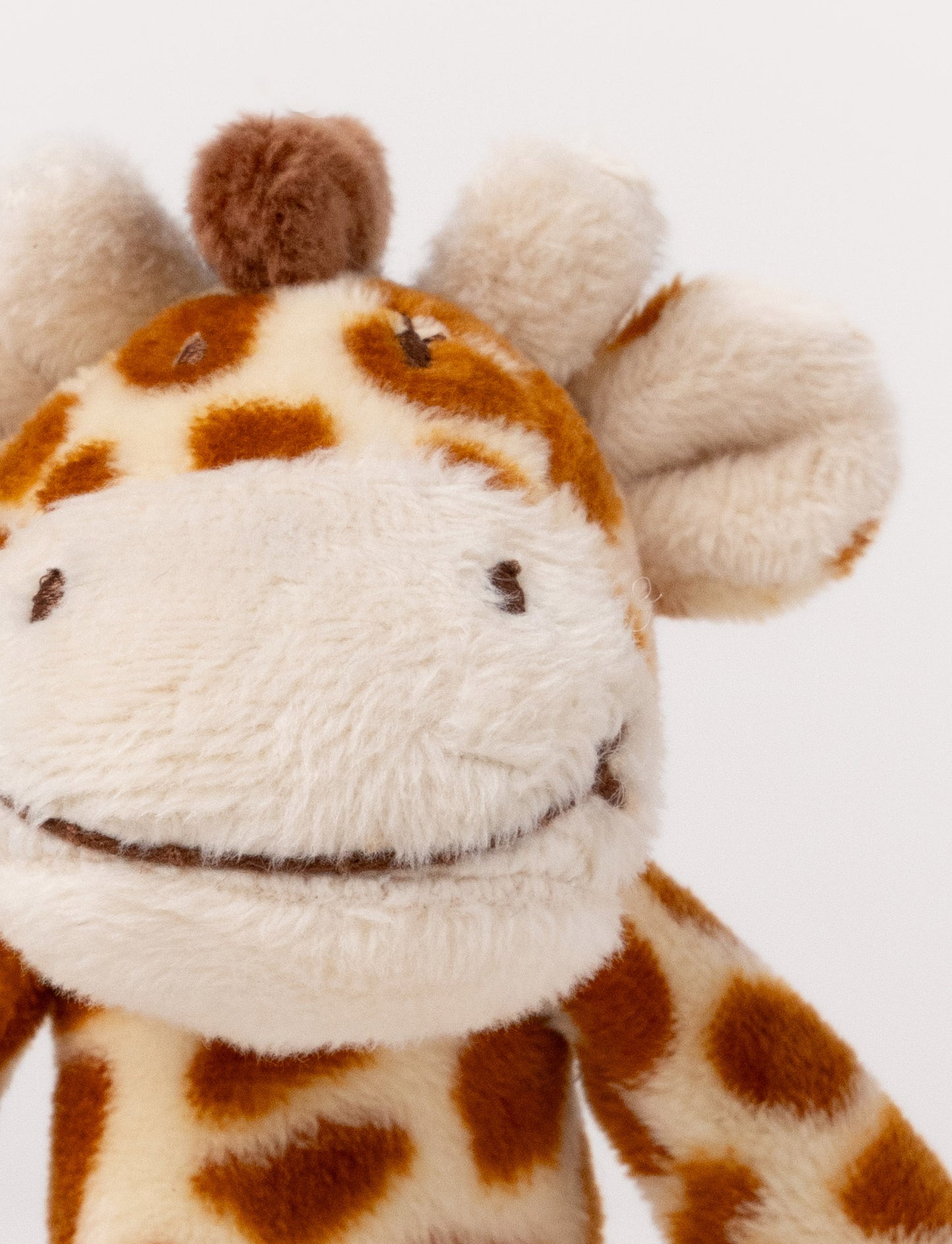 Diinglisar, Skallra, Giraff