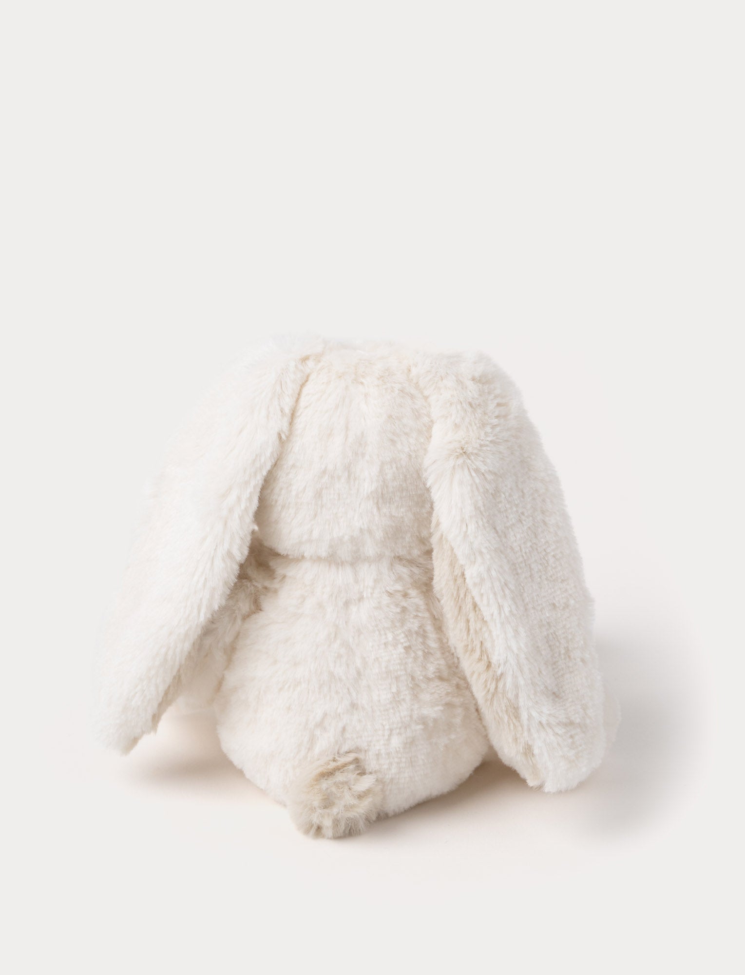  Image of Teddy Cream, Bunny