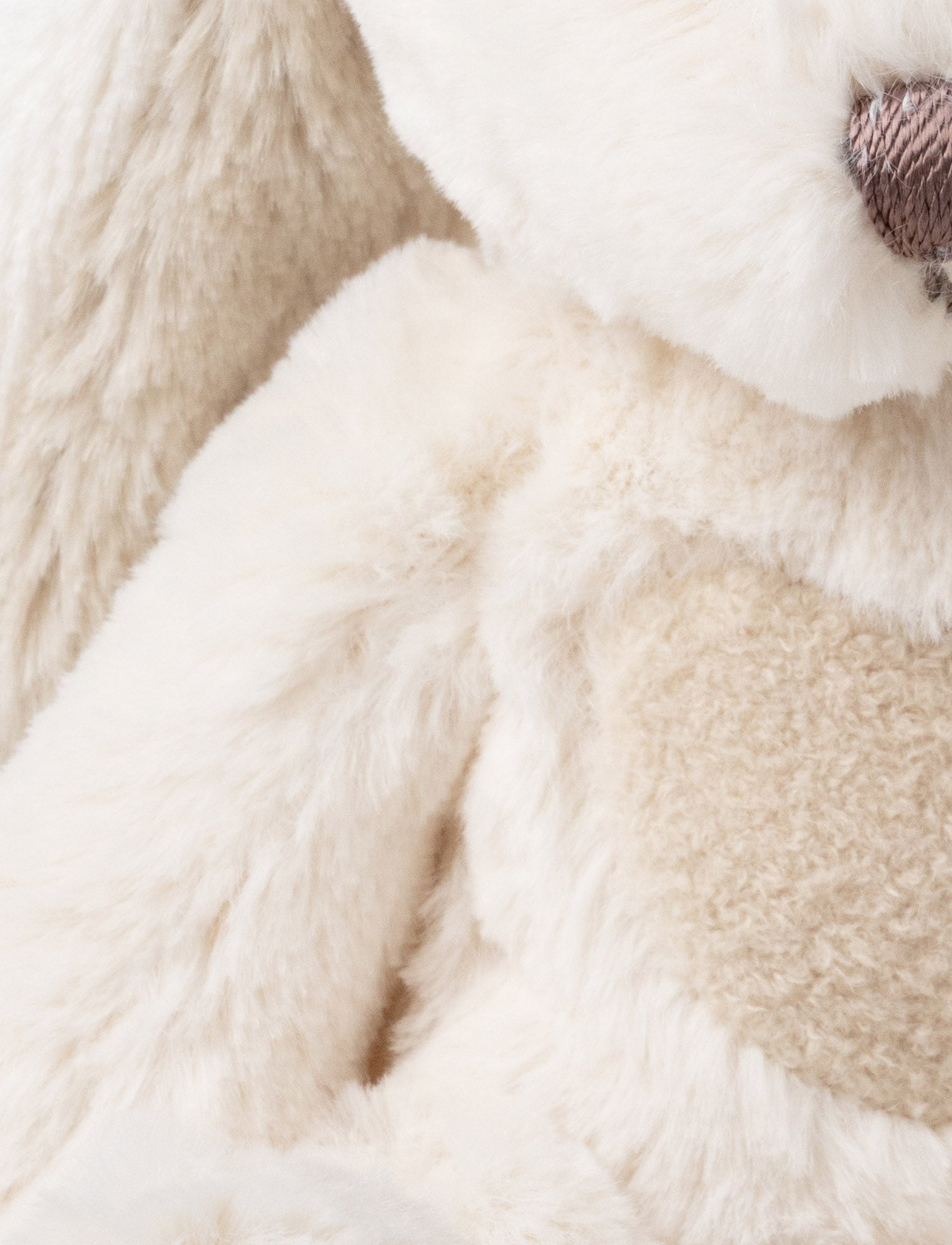  Image of Teddy Cream, Bunny