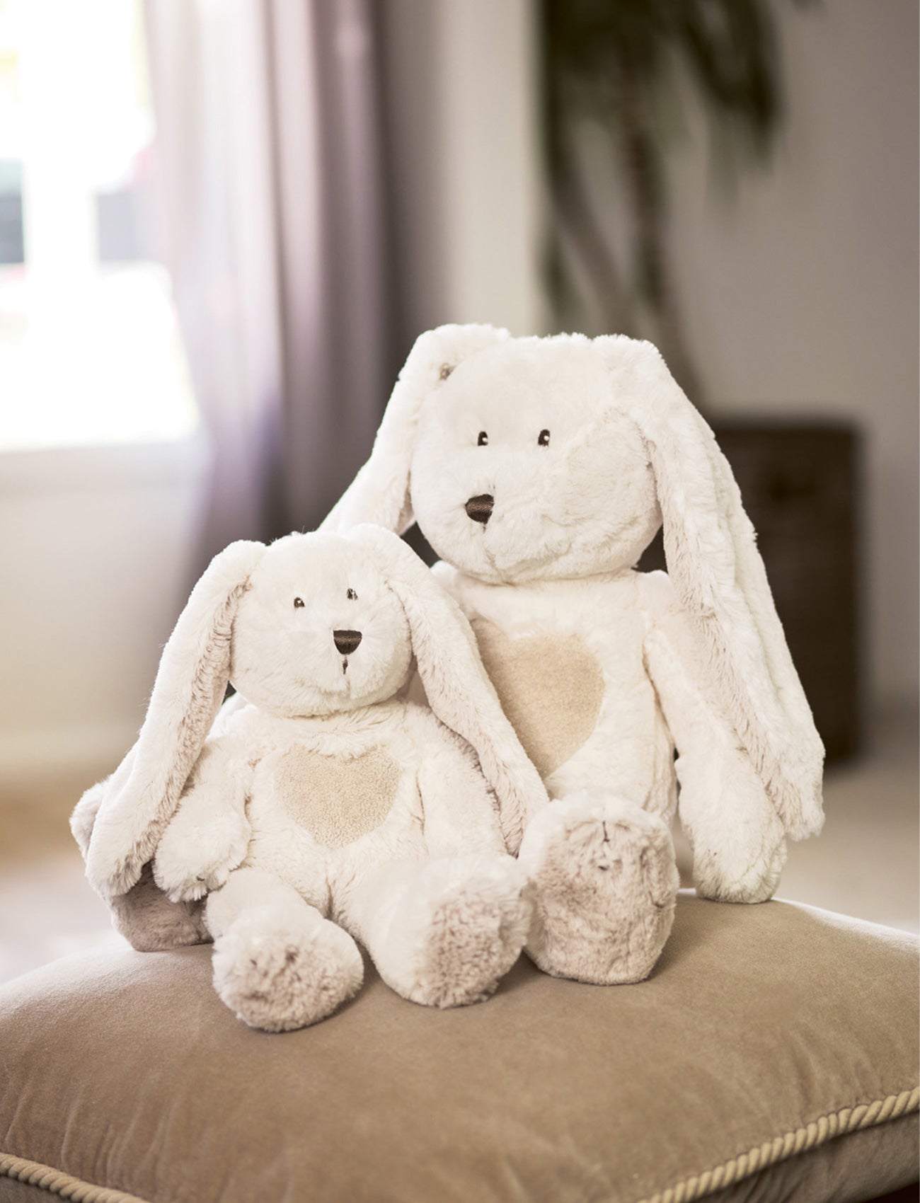 Teddy Cream, Bunny