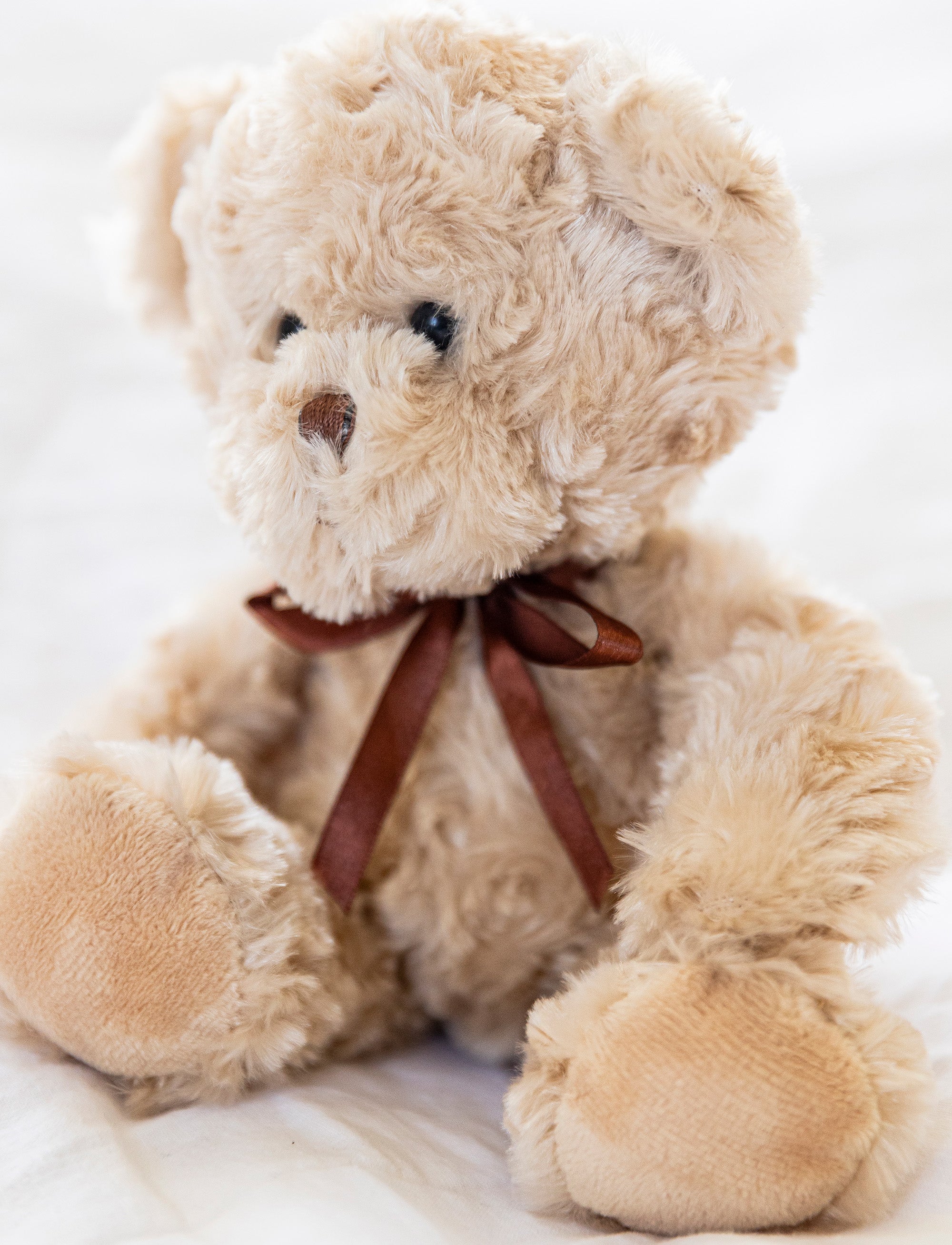  Image of Hjalle, Teddy Bear
