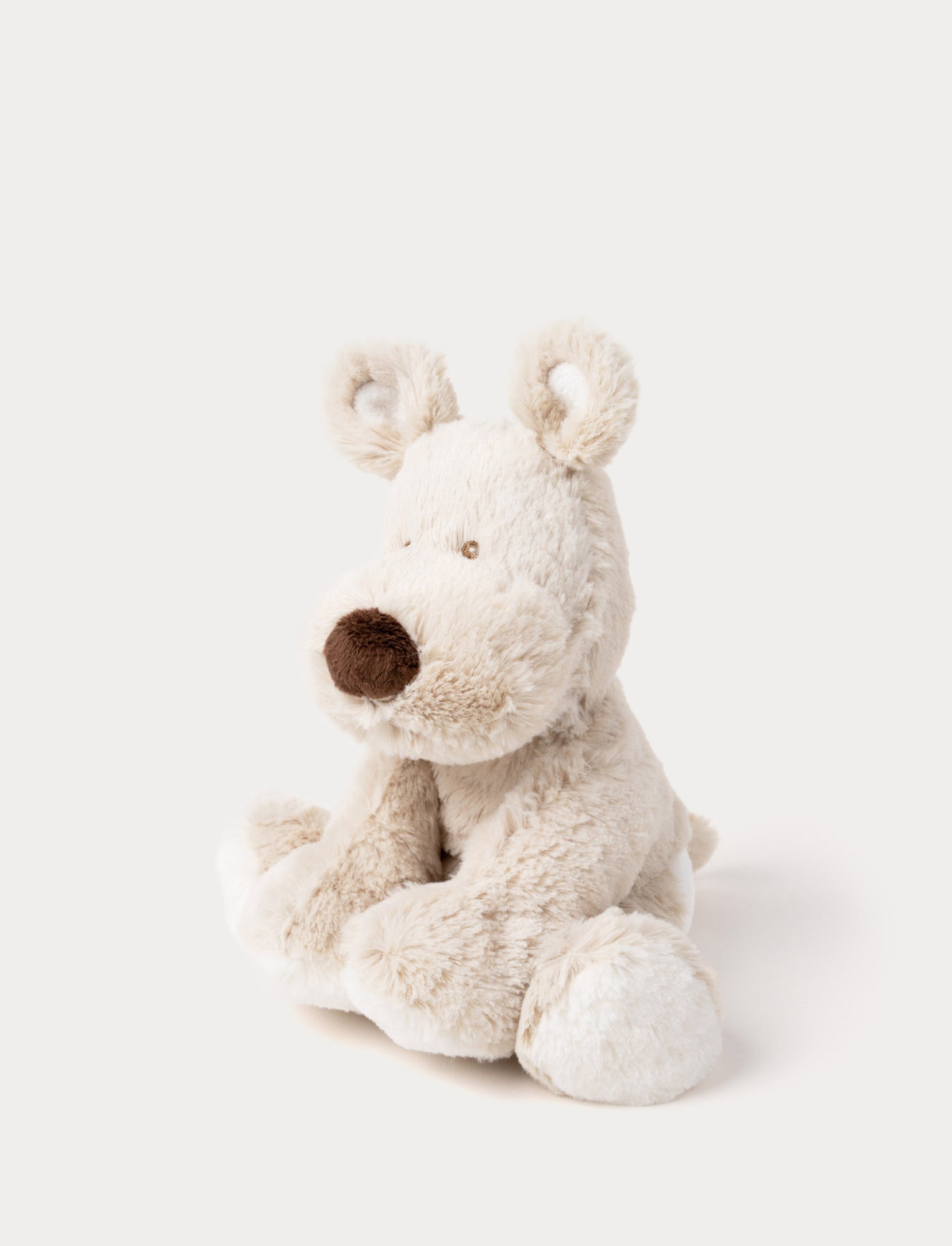  Image of Teddy Cream, Hund, Liten