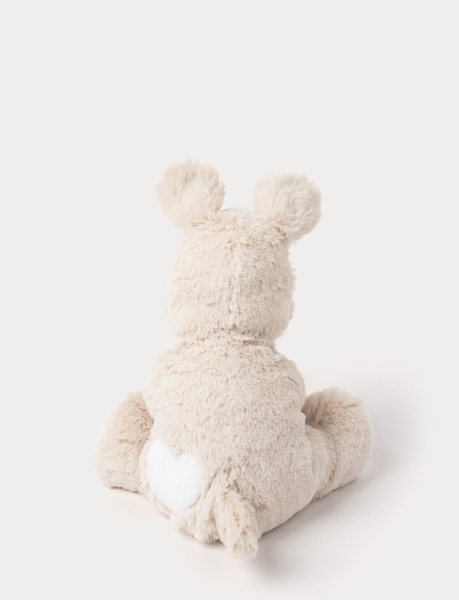  Image of Teddy Cream, Hund, Liten