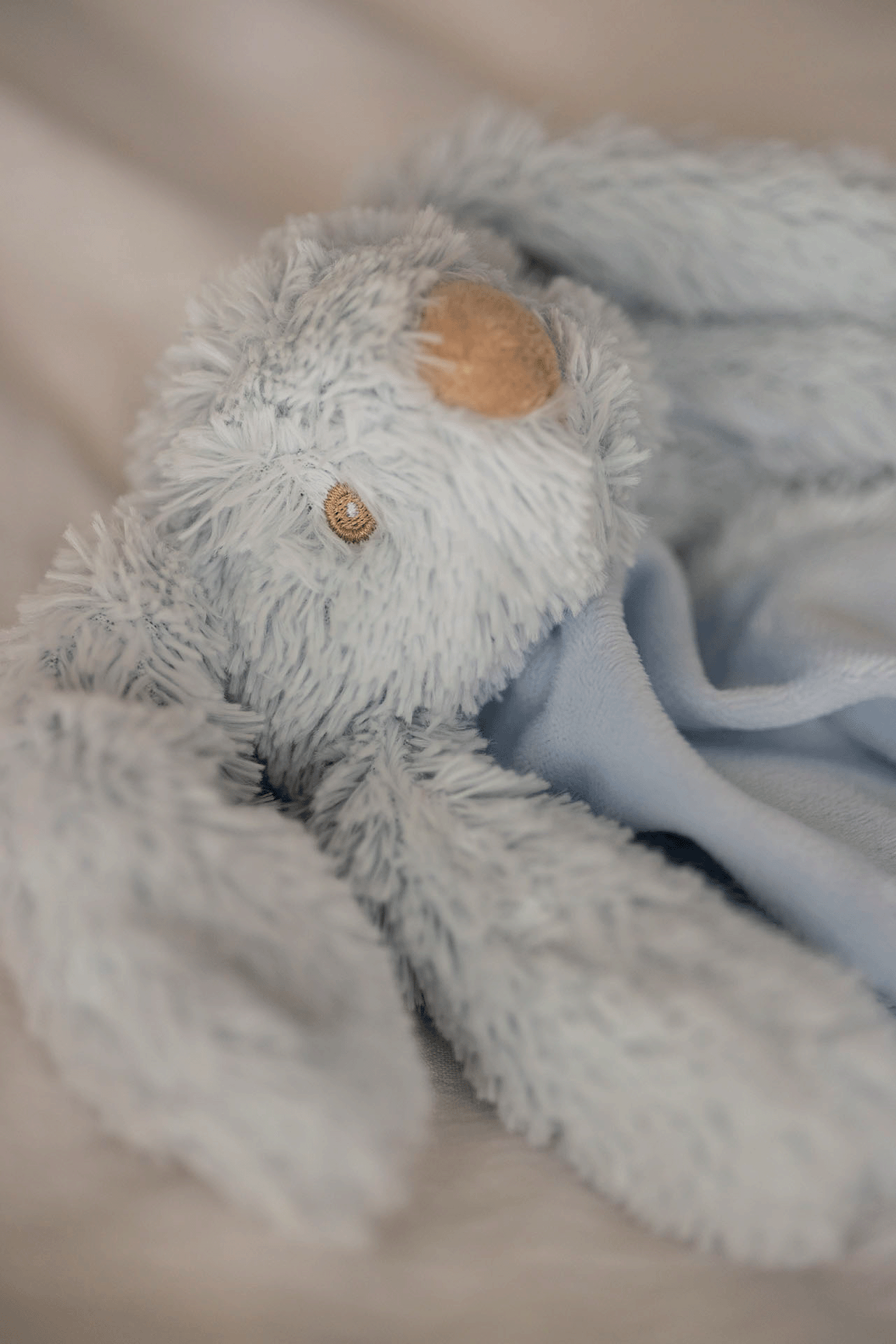  Image of files/2409_LolliDetail_HIGH_095e7611-803a-450e-b9e7-ed9f8175737c.png