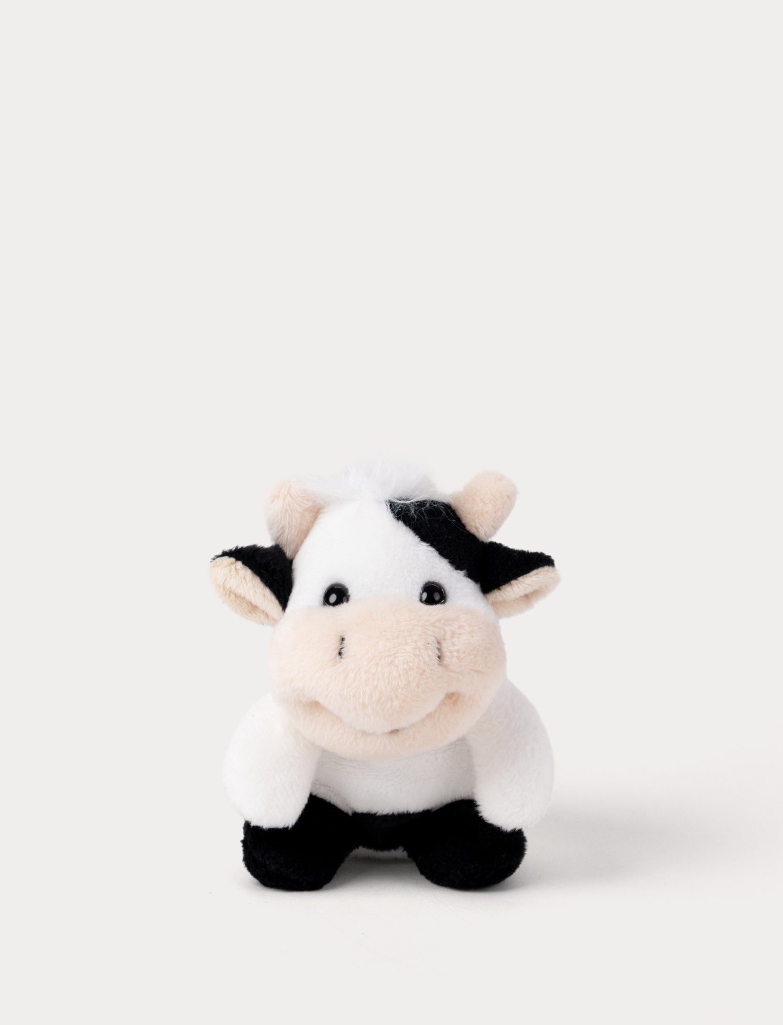  Image of Small Plush cow toy on a white background