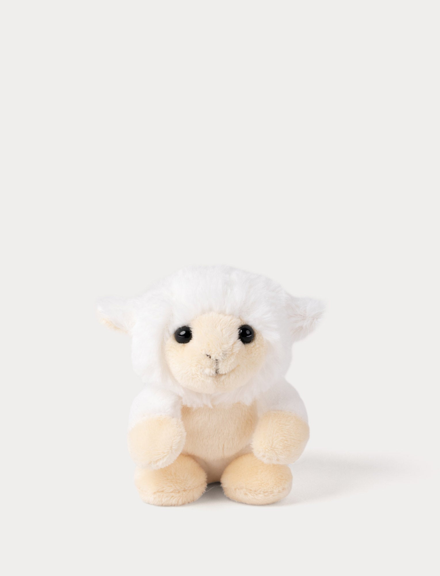 Image of Small plush lamb toy on a white background