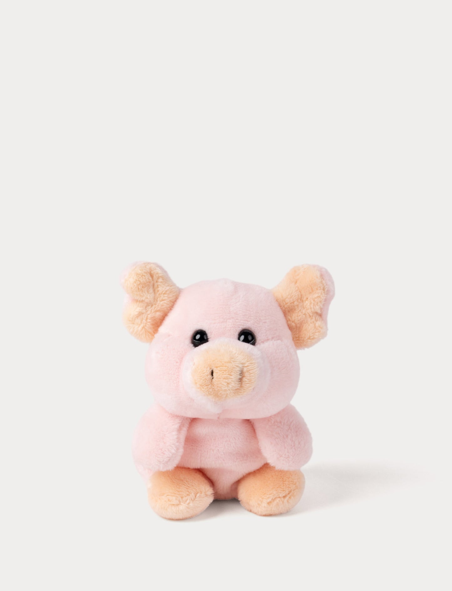 Small pig plush toy on pink