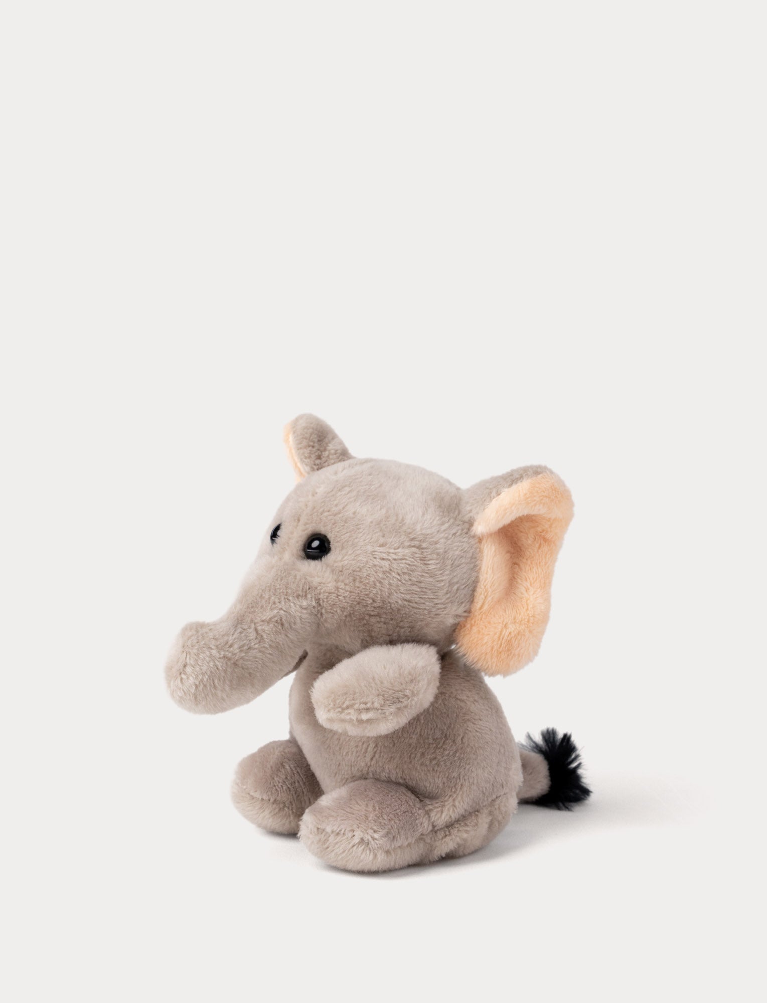  Image of Teddy Wild, Beanies, Elephant