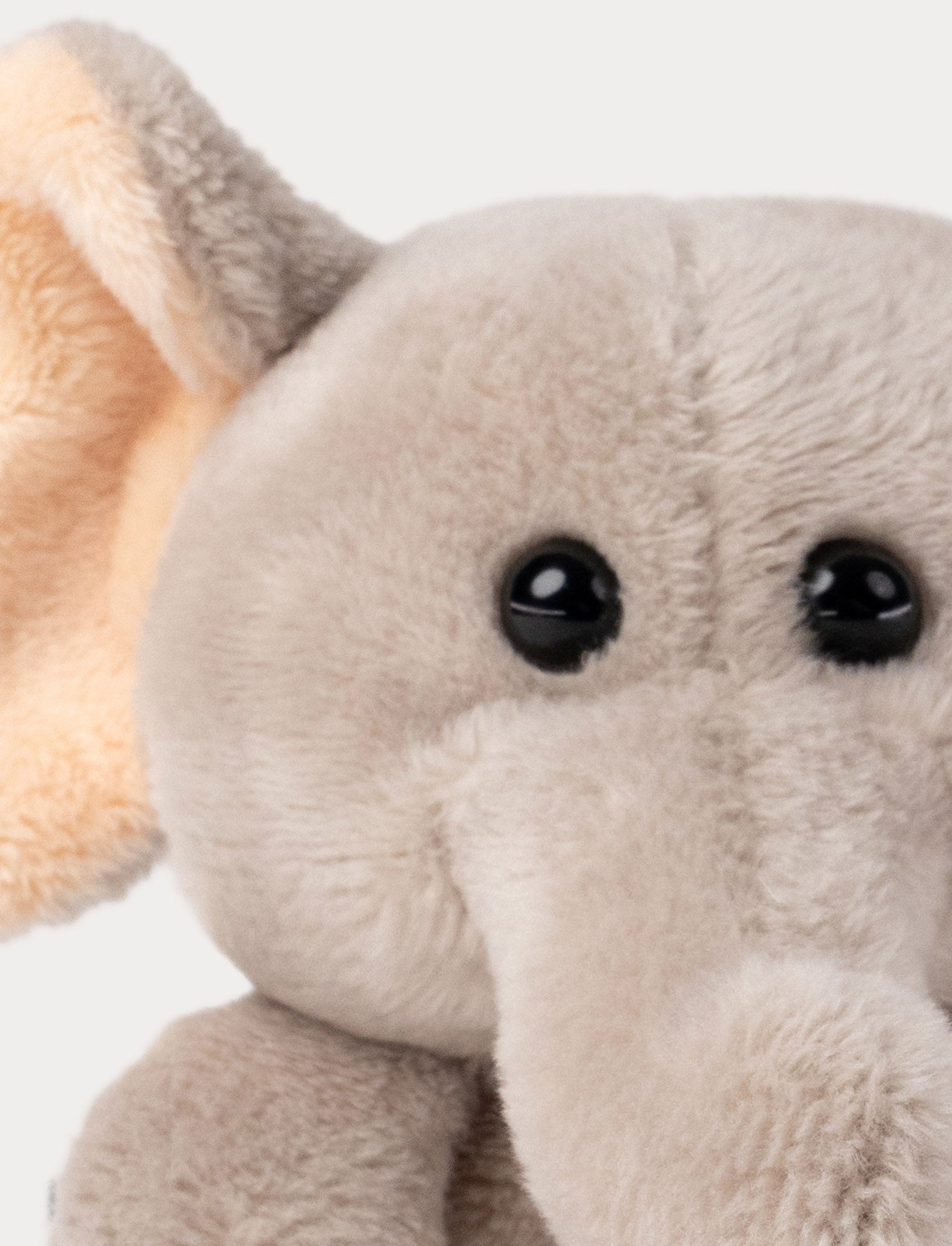  Image of Teddy Wild, Beanies, Elephant