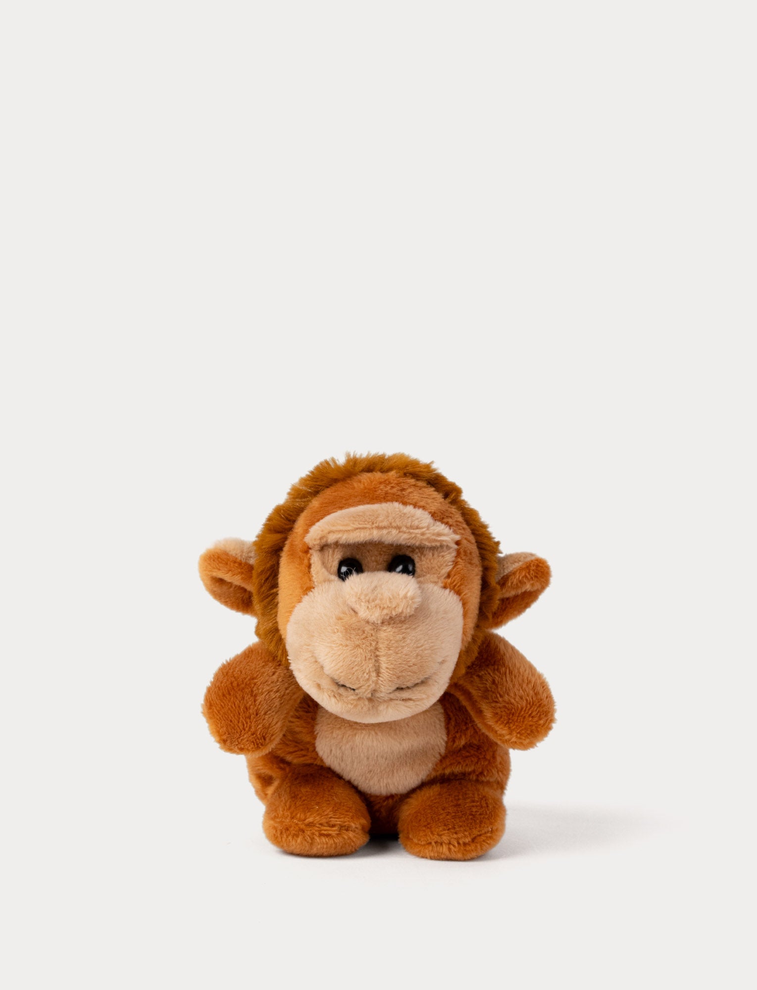  Image of Small plush monkey toy on a white background