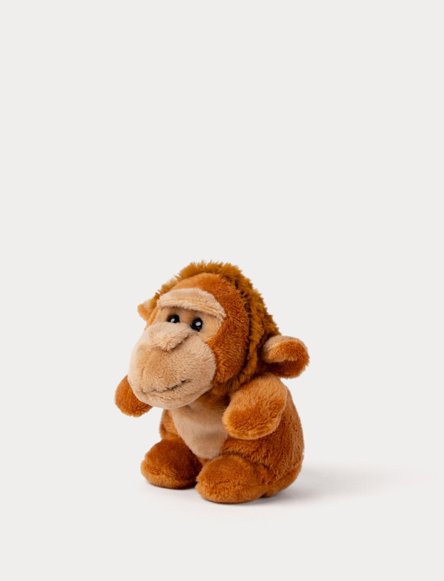  Image of Teddy Wild, Beanies, Monkey