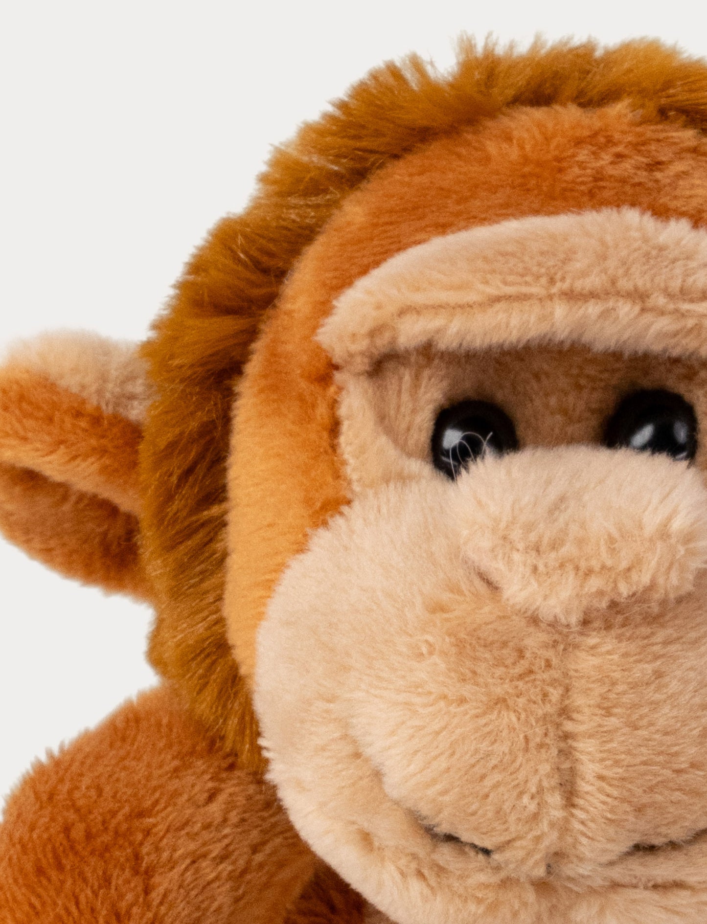 Teddy Wild, Beanies, Monkey