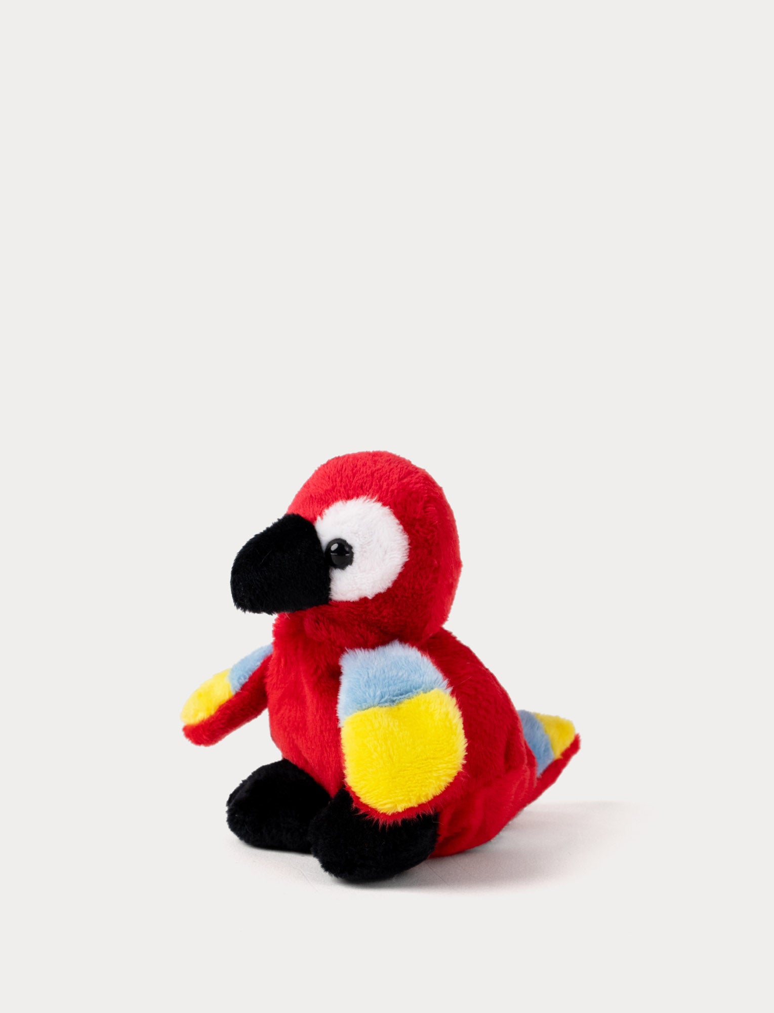  Image of Teddy Wild, Beanies, Parrot
