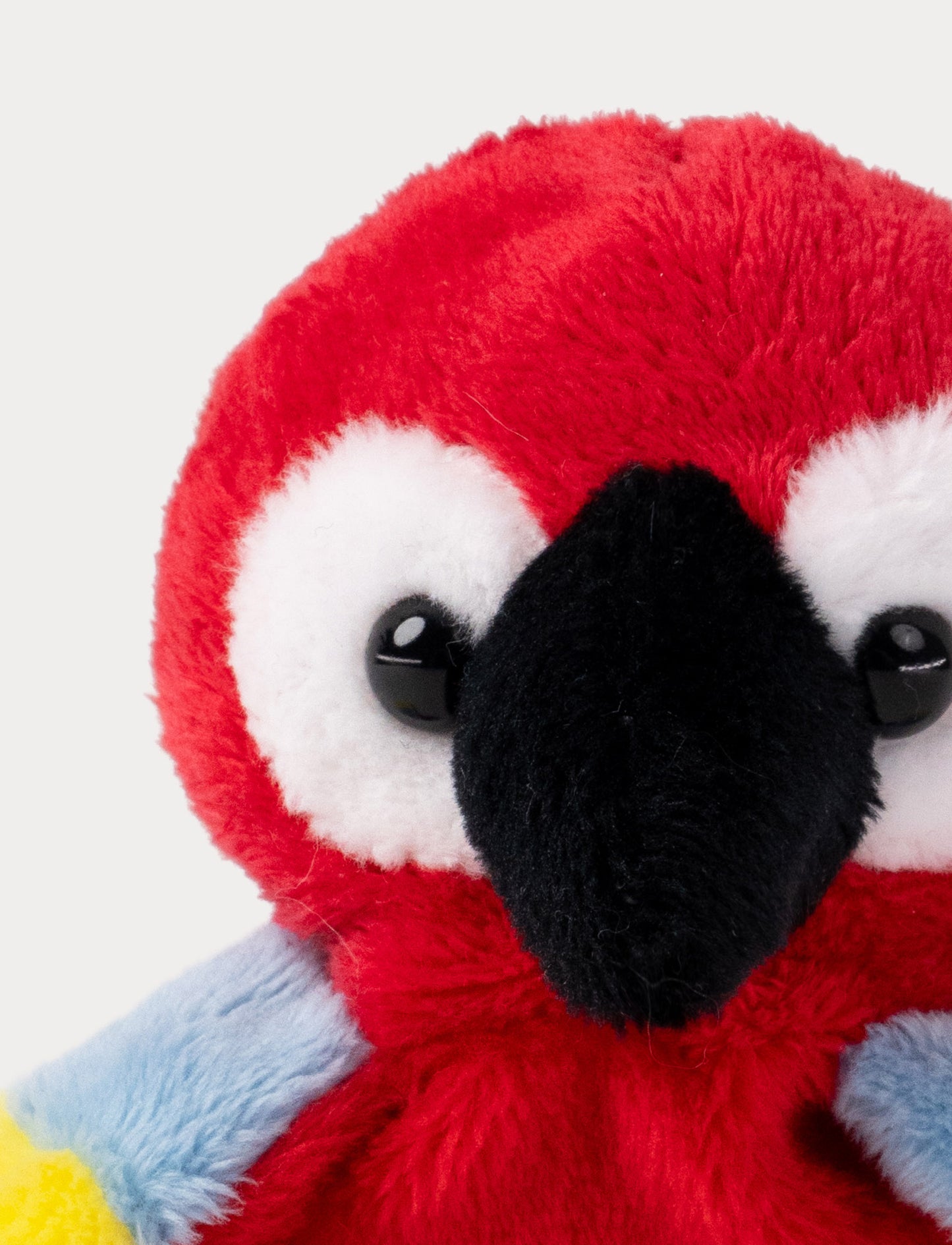 Teddy Wild, Beanies, Parrot
