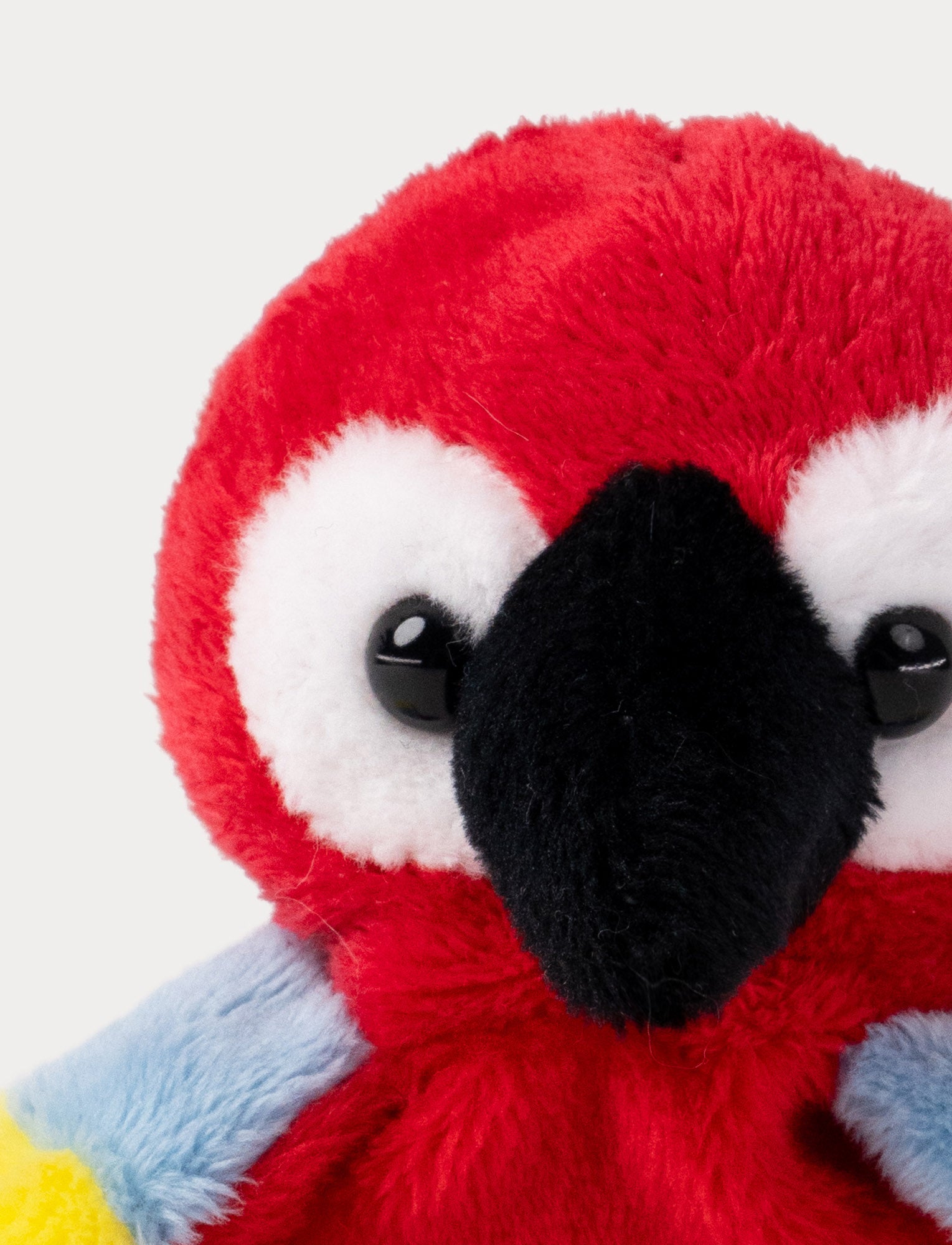  Image of Teddy Wild, Beanies, Parrot