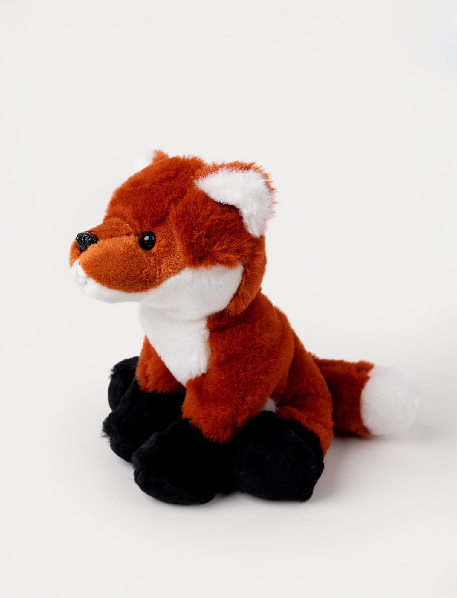  Image of Teddy Forest, Fox