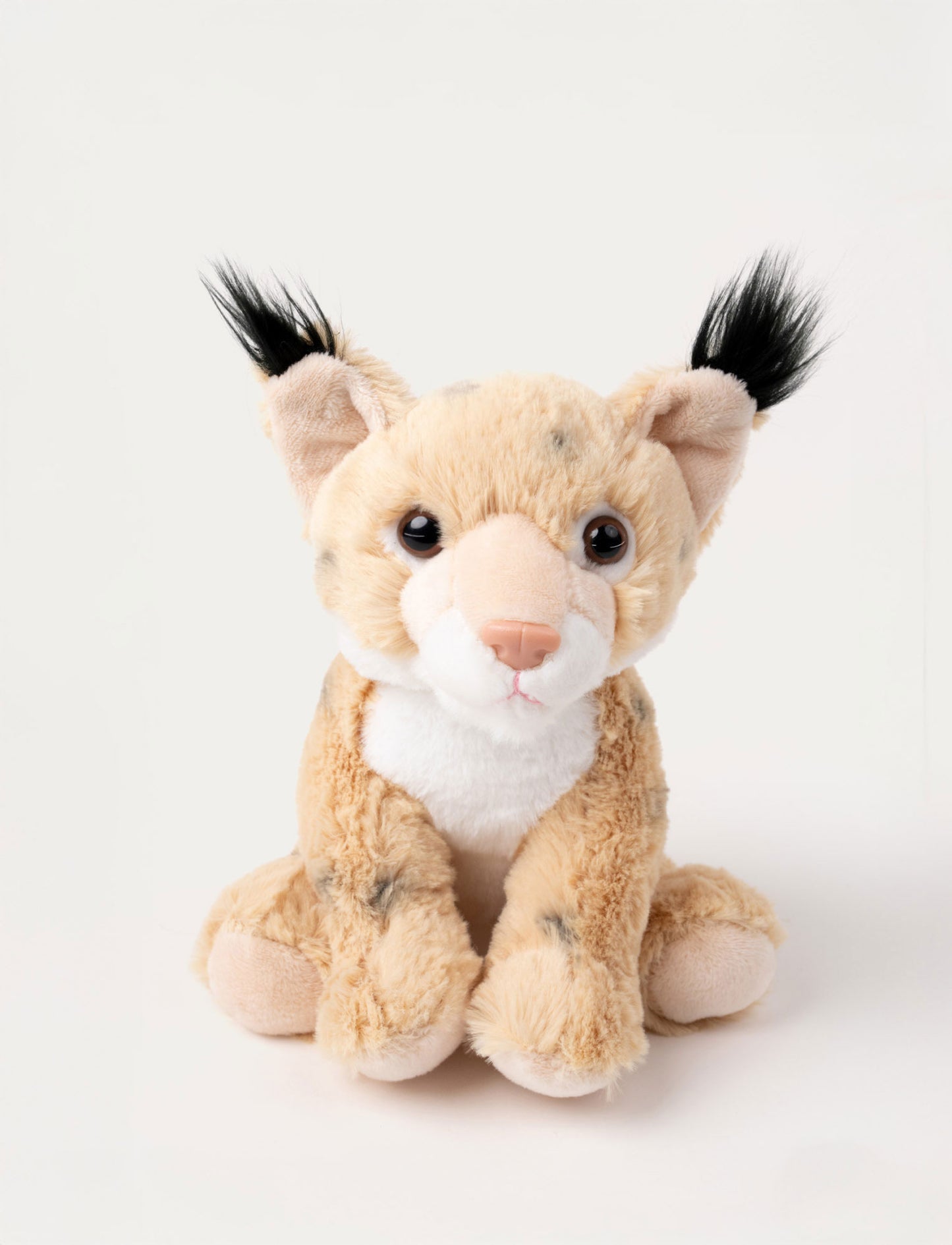 Teddy Forest, Lynx