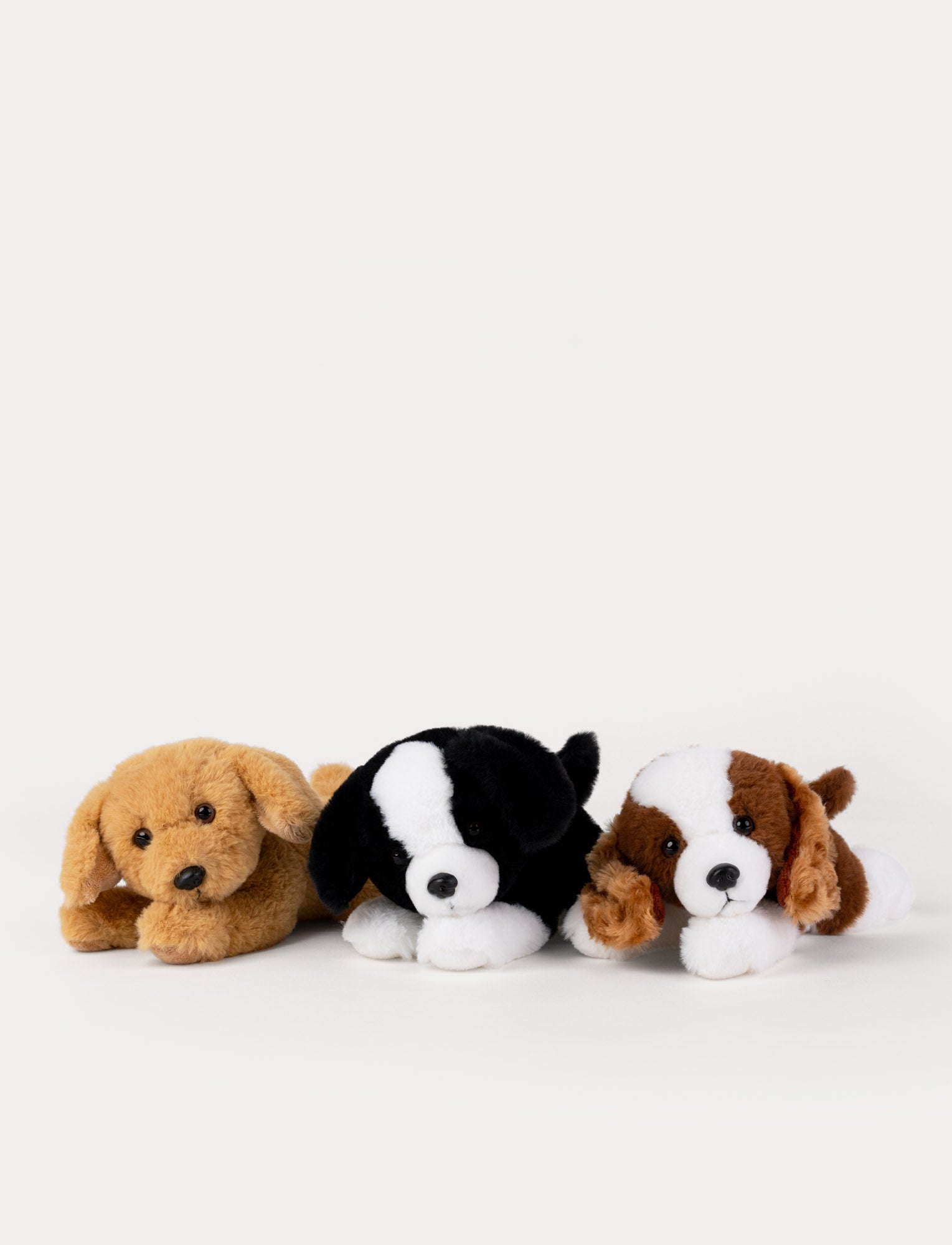  Image of Three plush dog toys in different colors on a white background