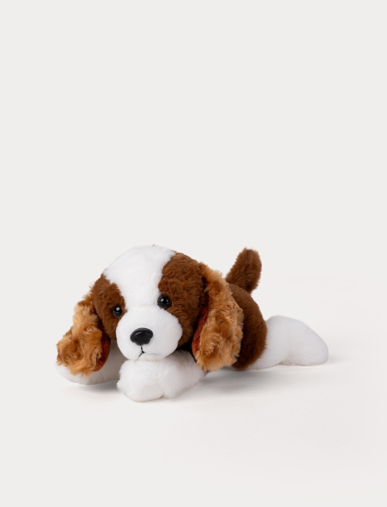  Image of Plush toy dog with brown and white fur on a light gray background