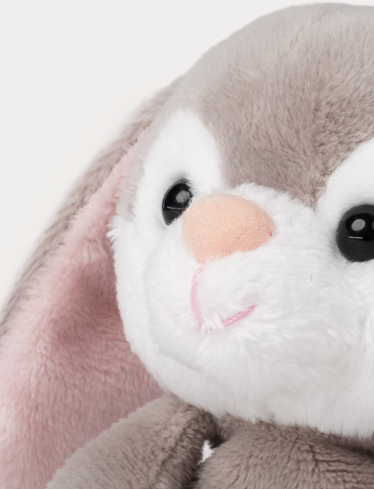  Image of Teddy Bunnies, Small