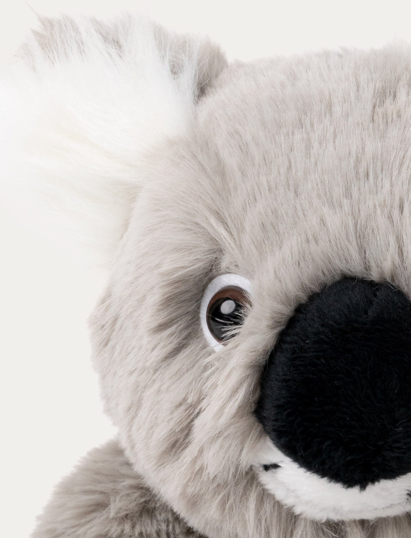 Dreamies, Koala