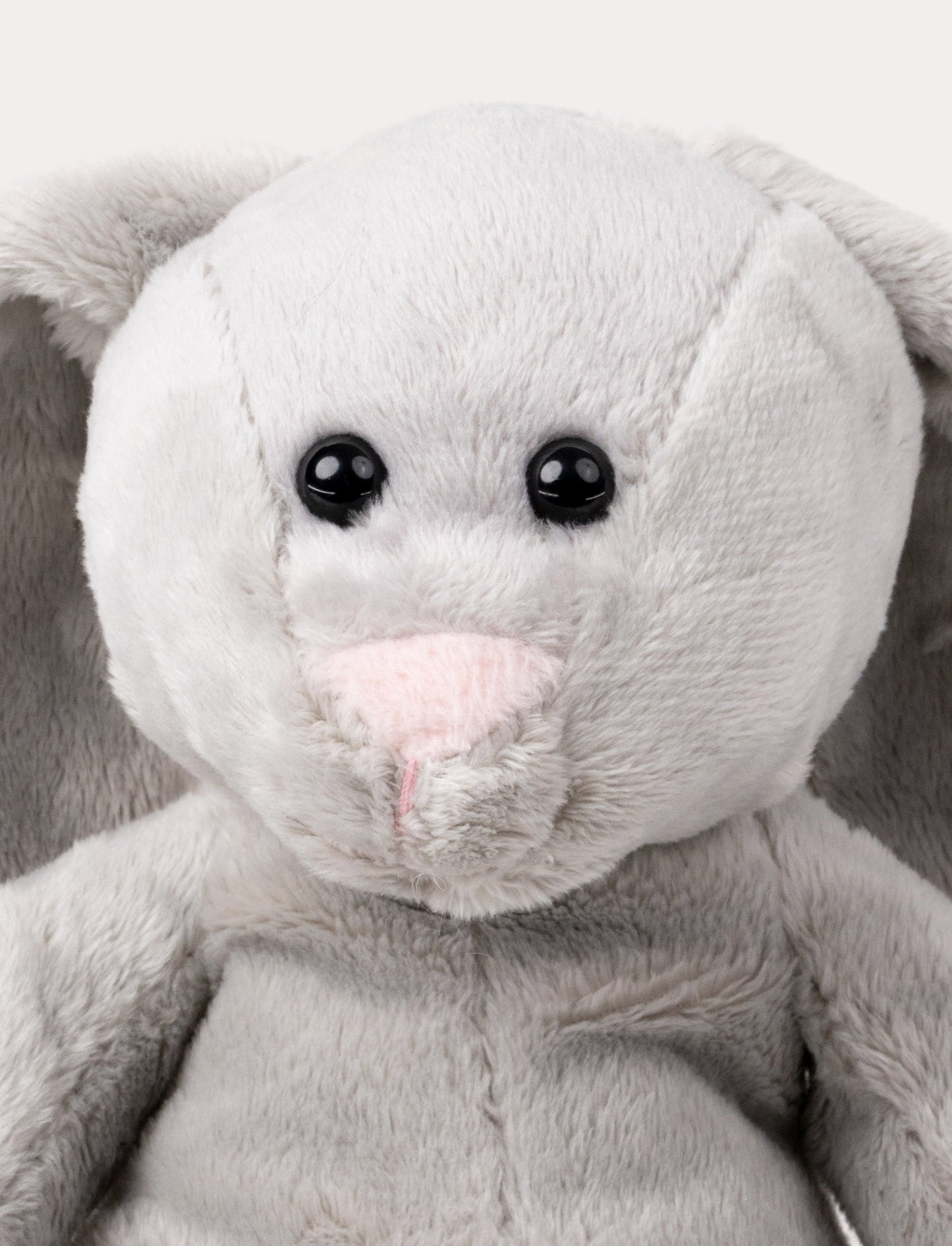 Wilma, Bunny