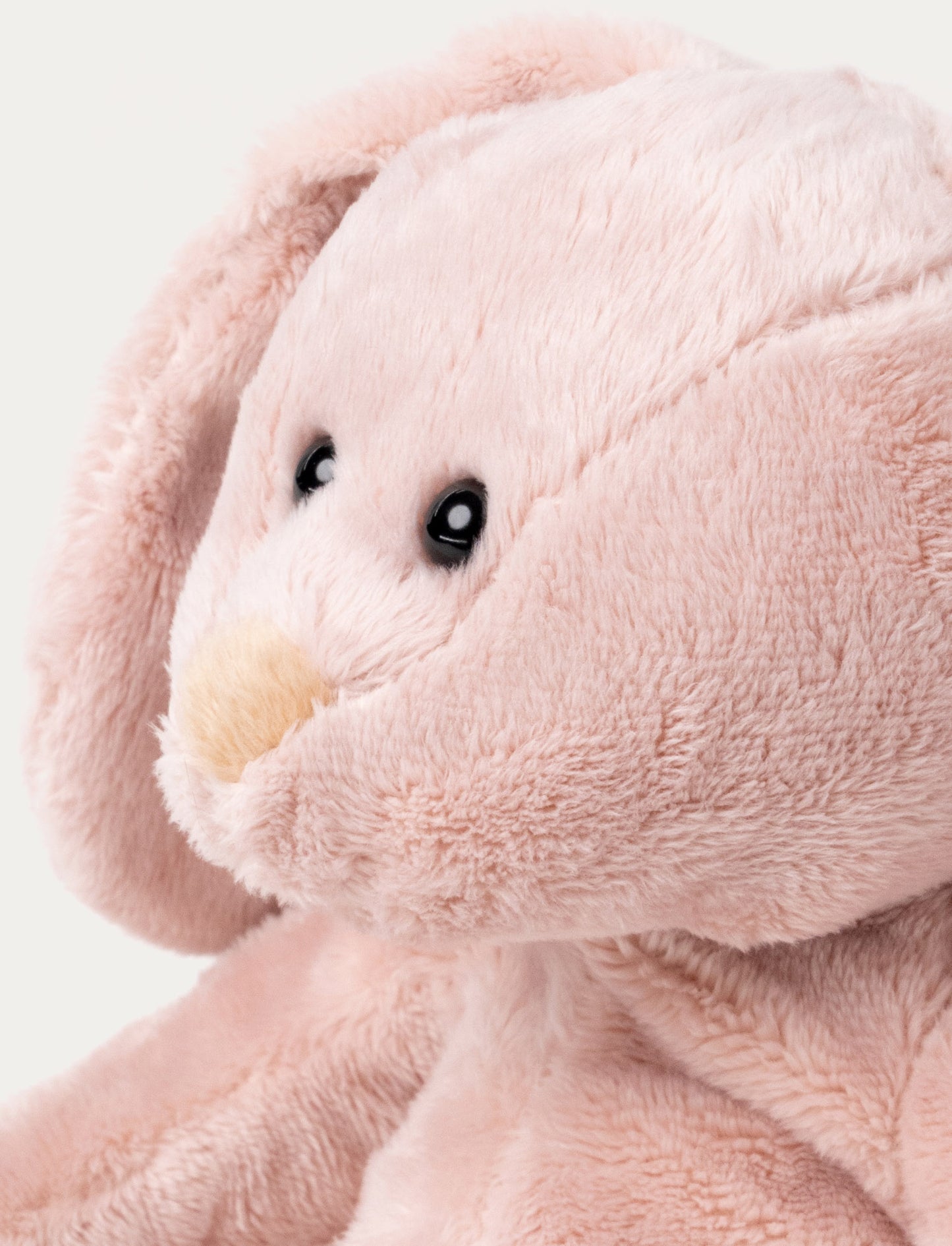 Wilma, Bunny