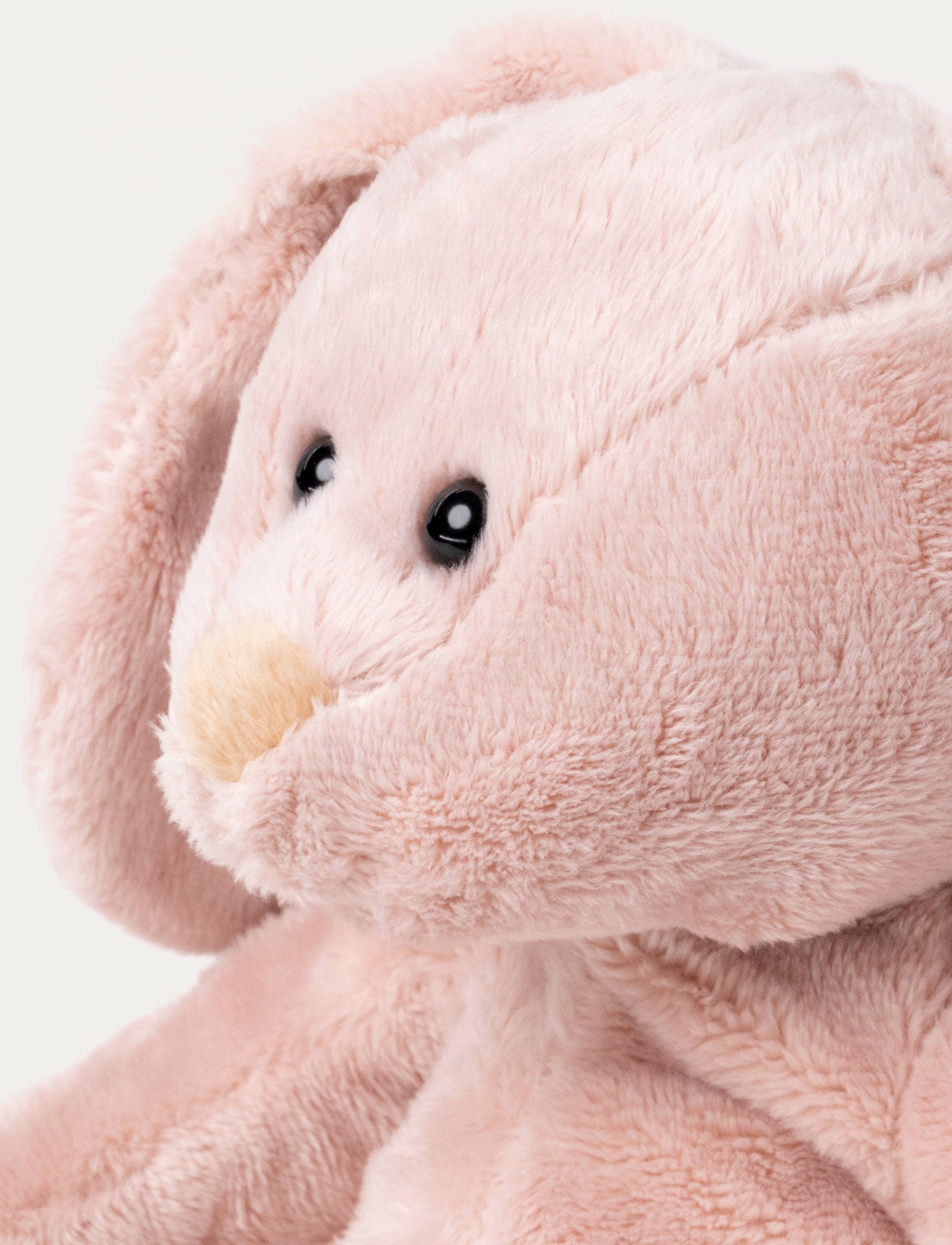  Image of Wilma, Bunny