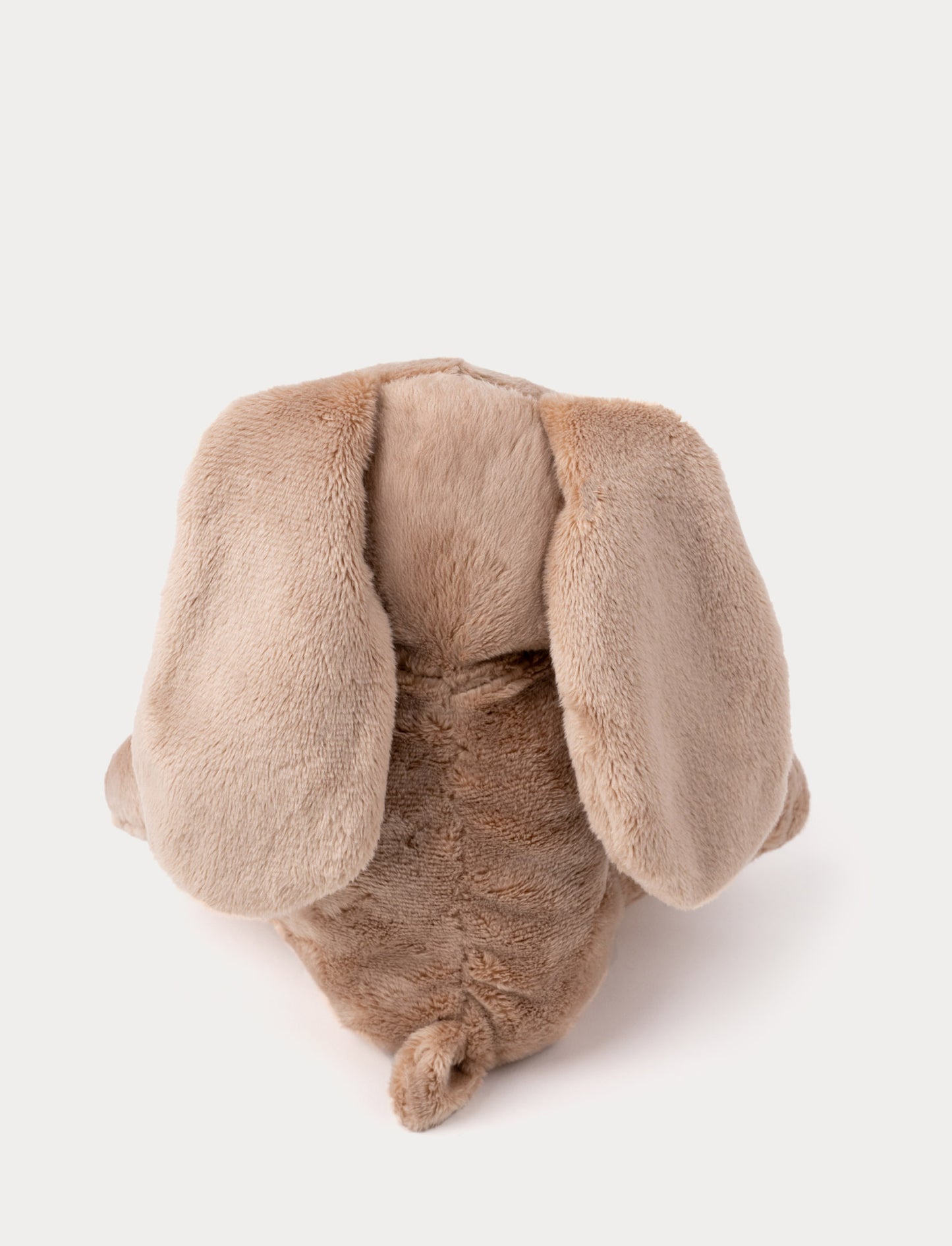 Wilma, Bunny